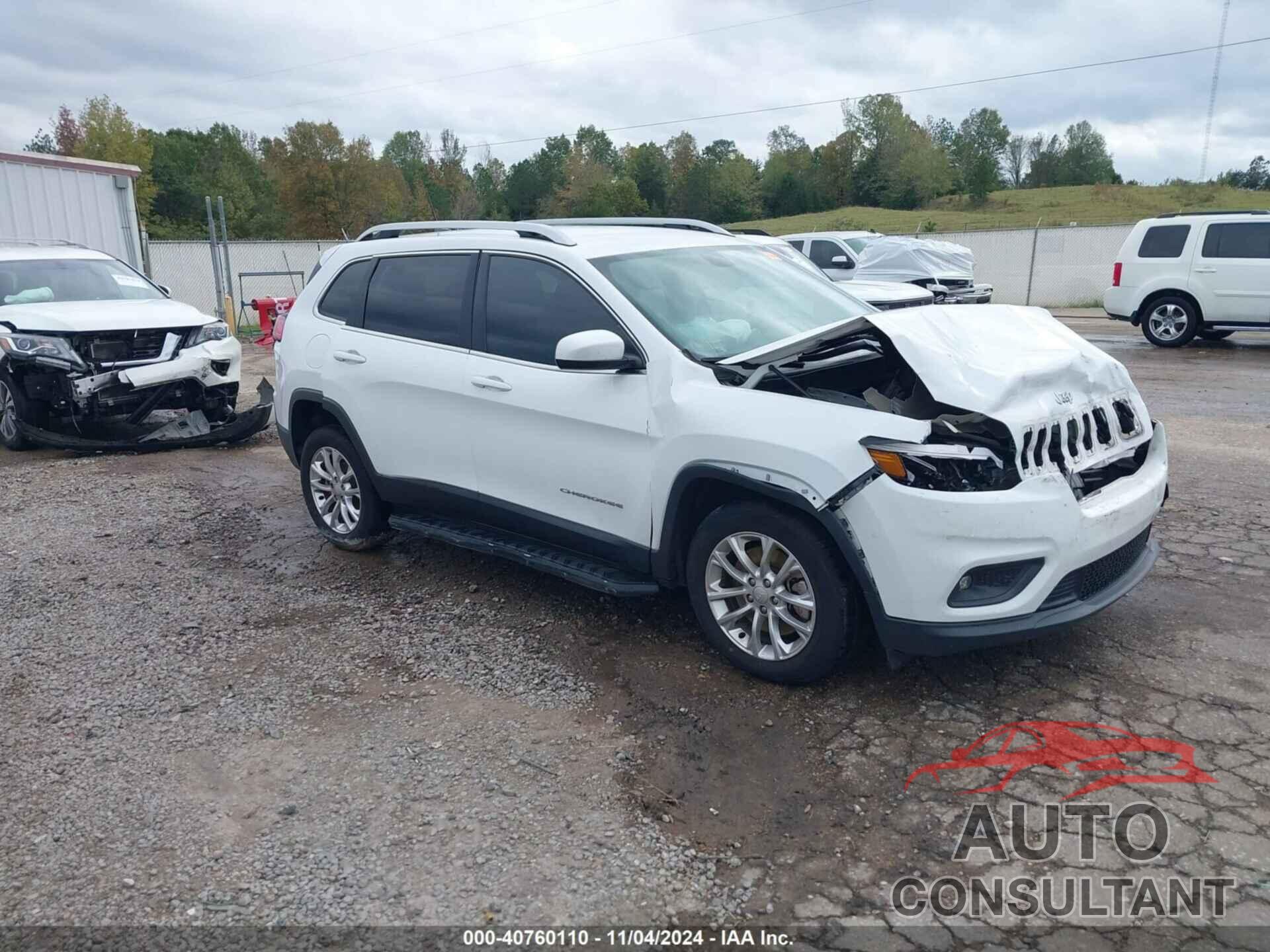 JEEP CHEROKEE 2019 - 1C4PJLCB5KD203214
