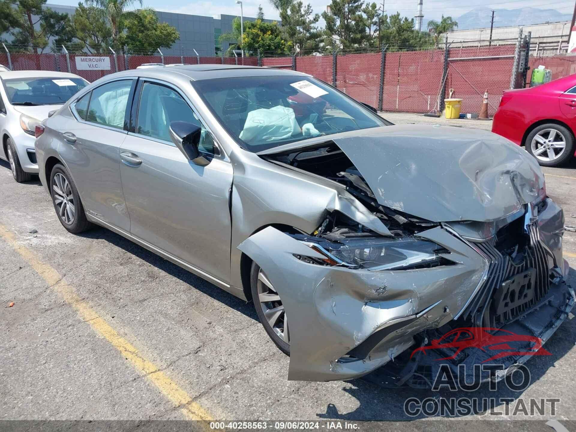 LEXUS ES 300H 2021 - 58ACA1C11MU001956