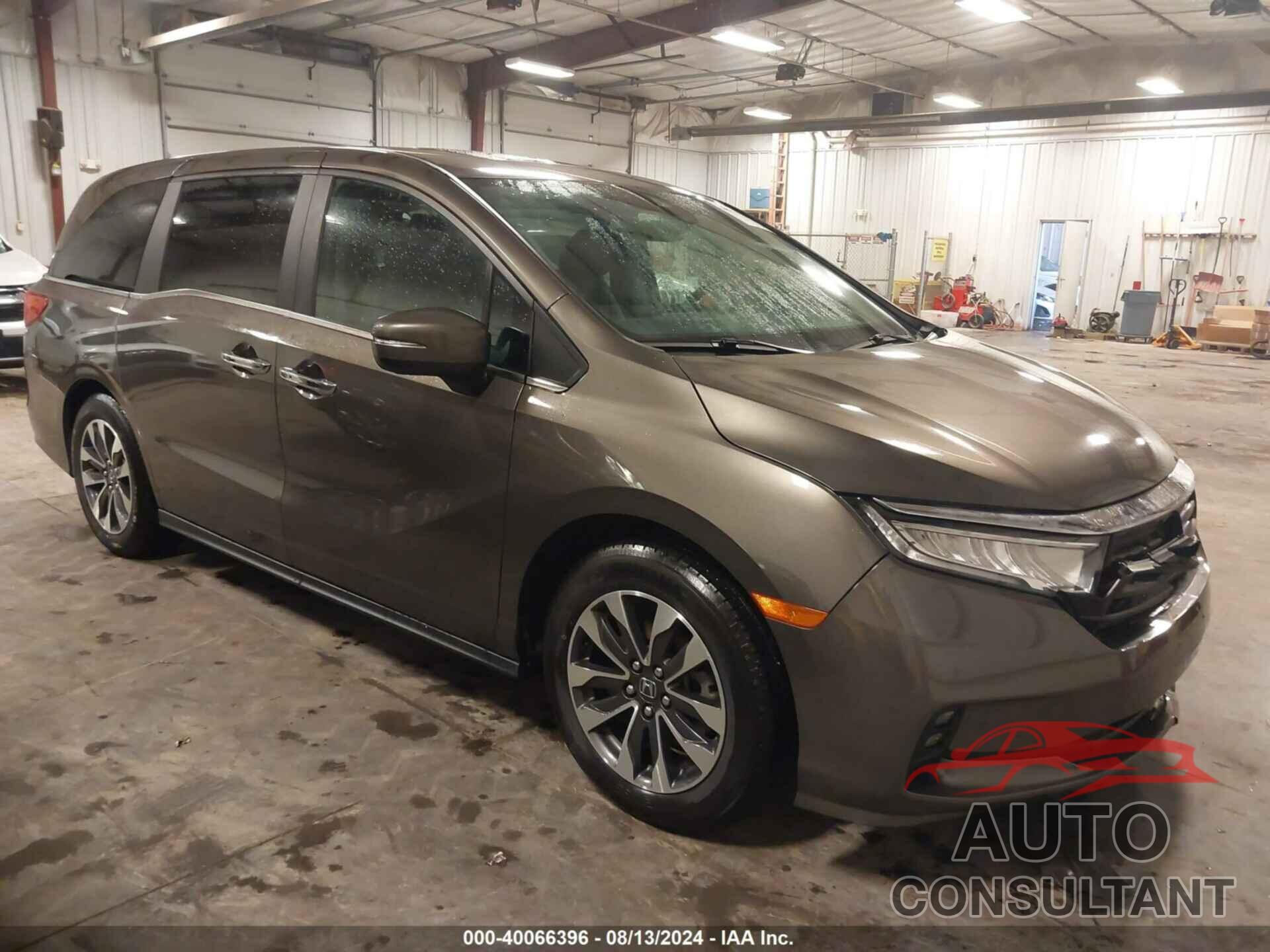 HONDA ODYSSEY 2022 - 5FNRL6H75NB053580