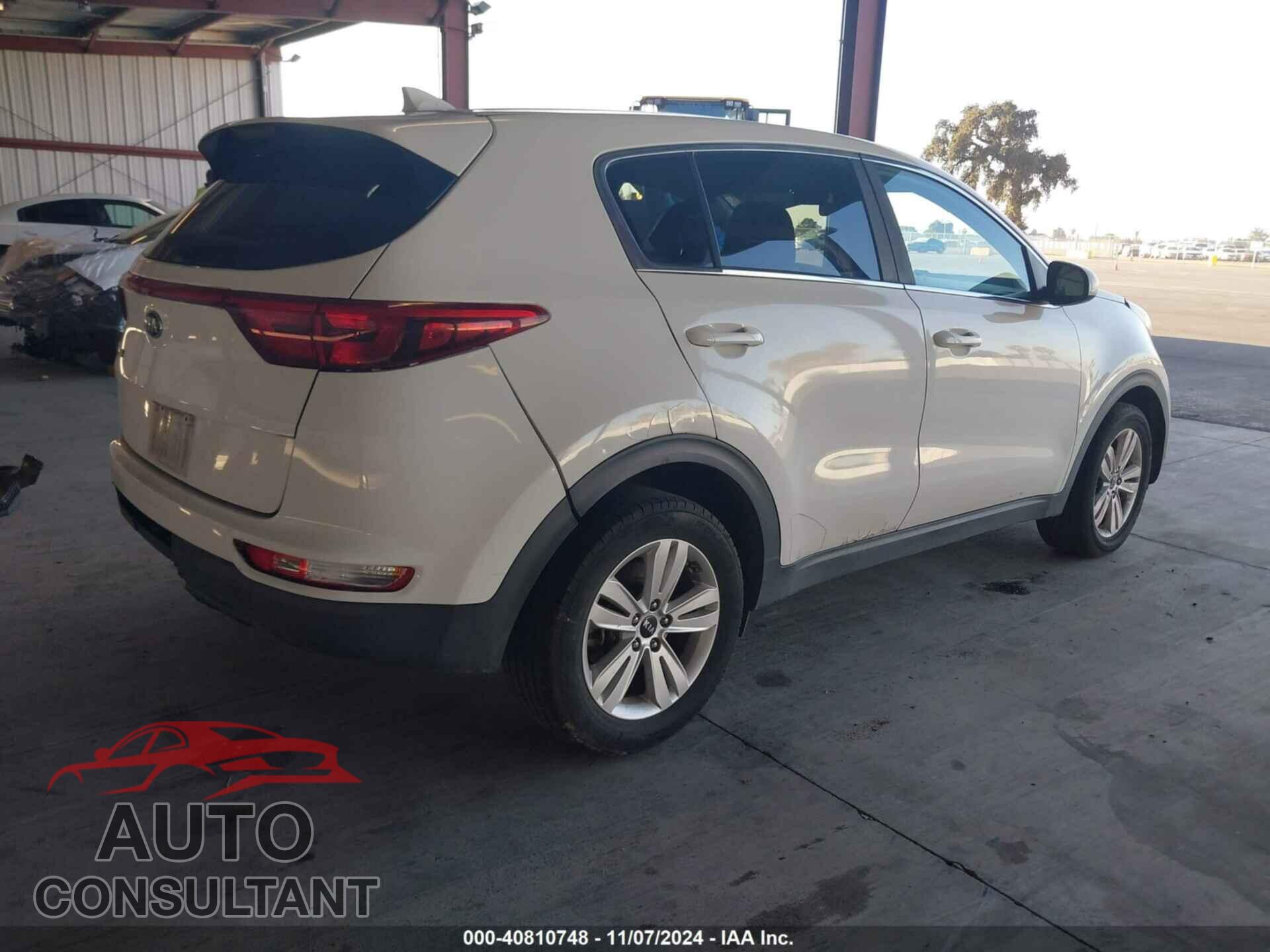 KIA SPORTAGE 2017 - KNDPM3AC8H7122962