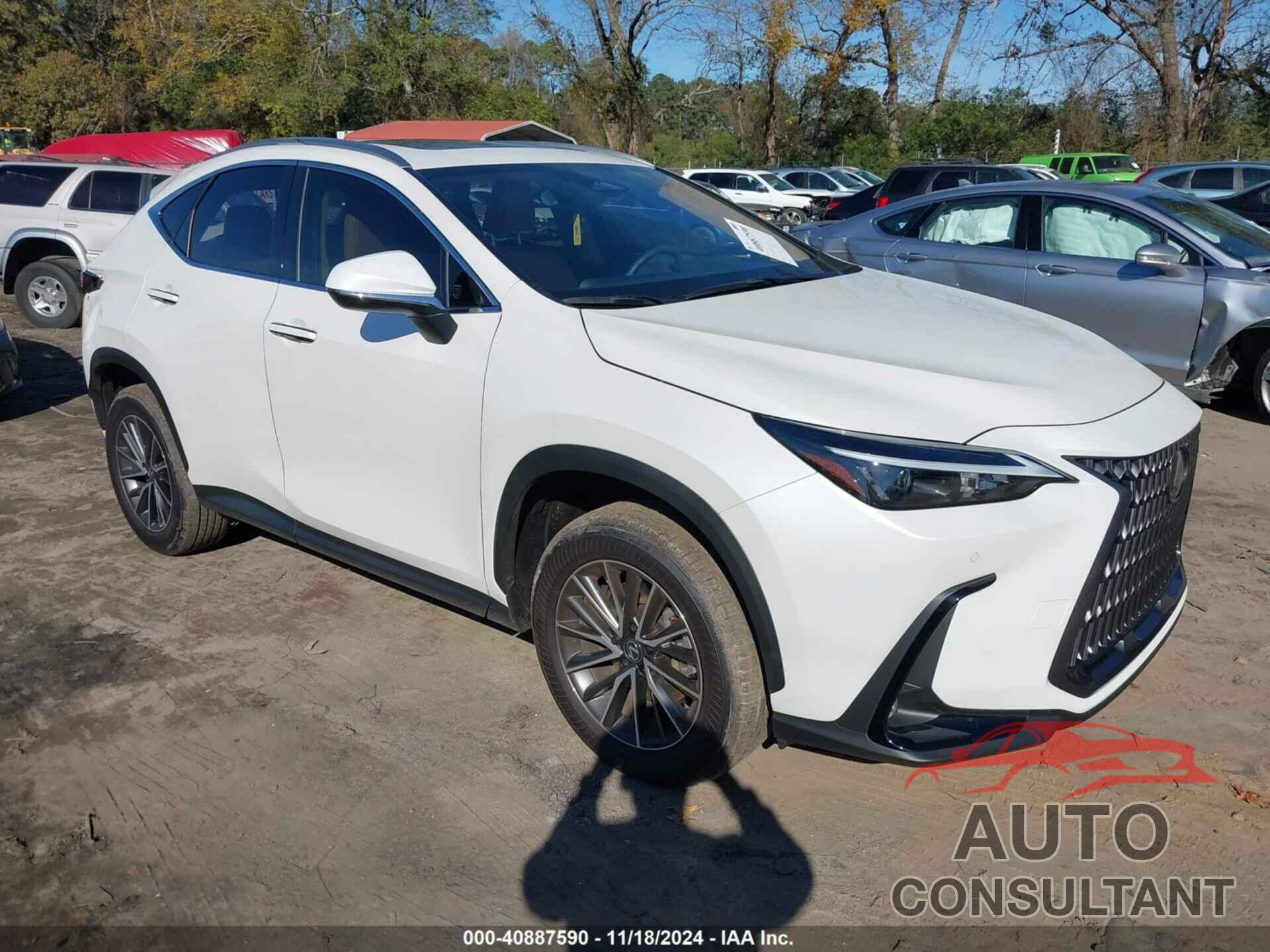 LEXUS NX 250 2025 - JTJGDCAZ5S2015017