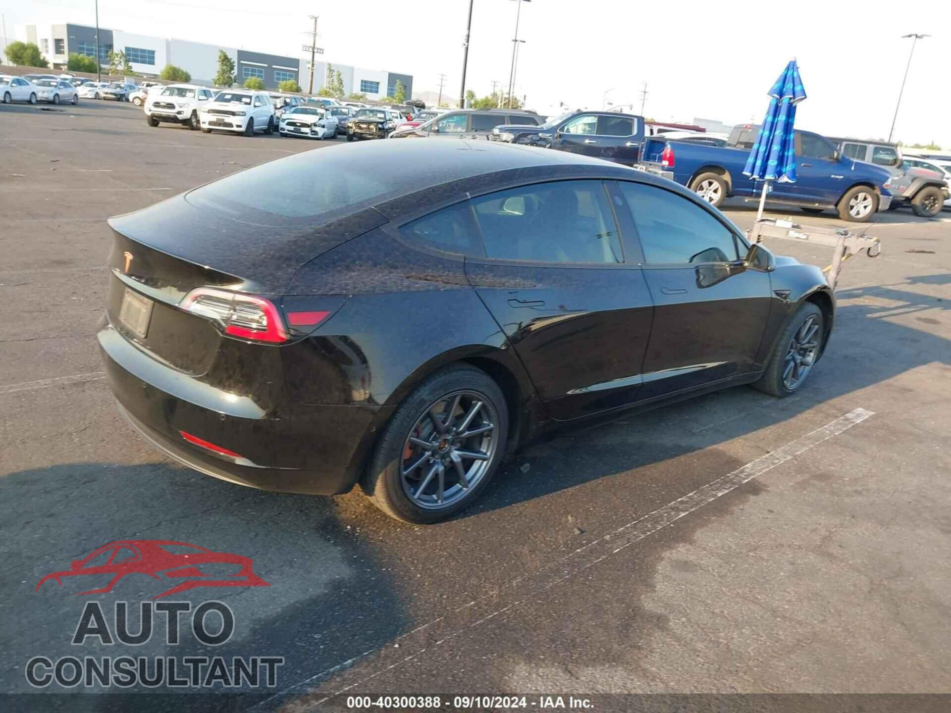 TESLA MODEL 3 2019 - 5YJ3E1EA1KF196895