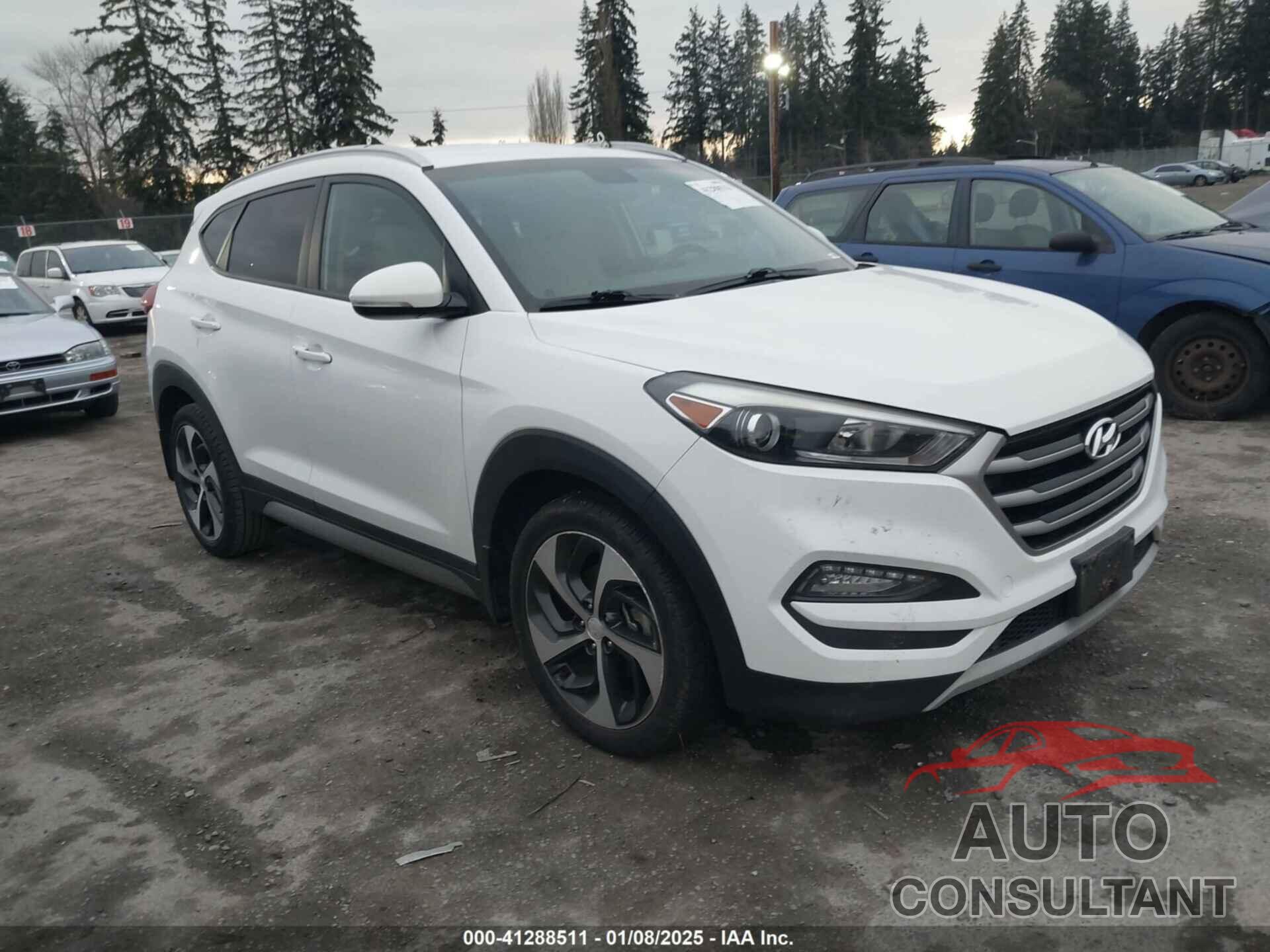 HYUNDAI TUCSON 2017 - KM8J33A28HU301869