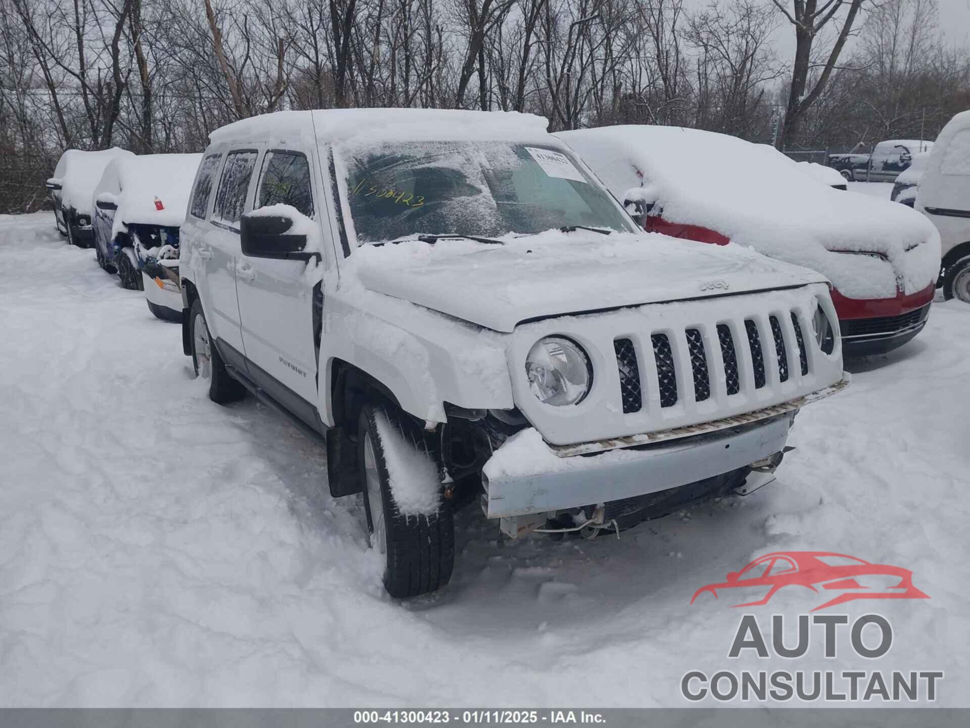 JEEP PATRIOT 2015 - 1C4NJRFB3FD169382