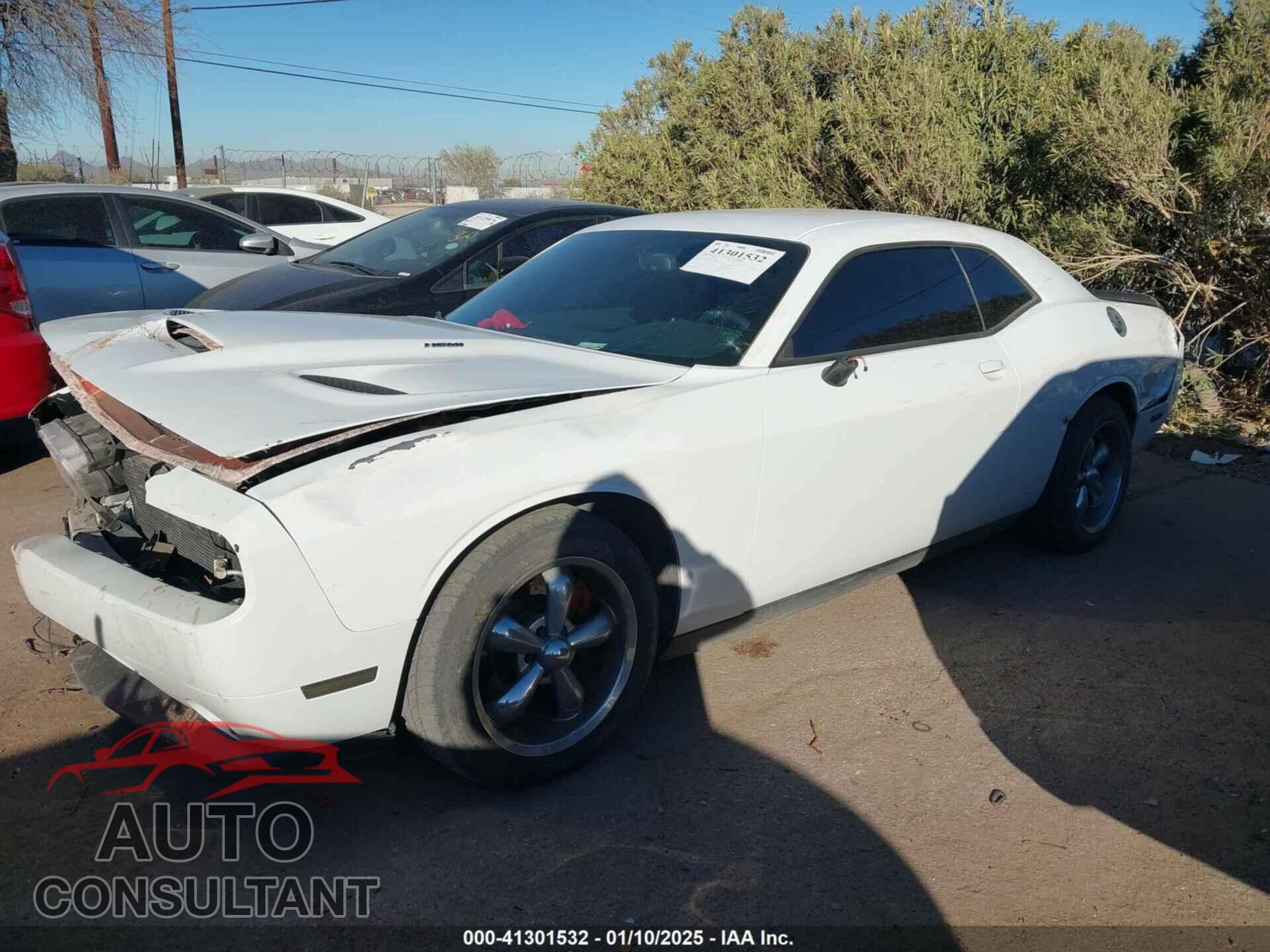 DODGE CHALLENGER 2013 - 2C3CDYBT2DH601018