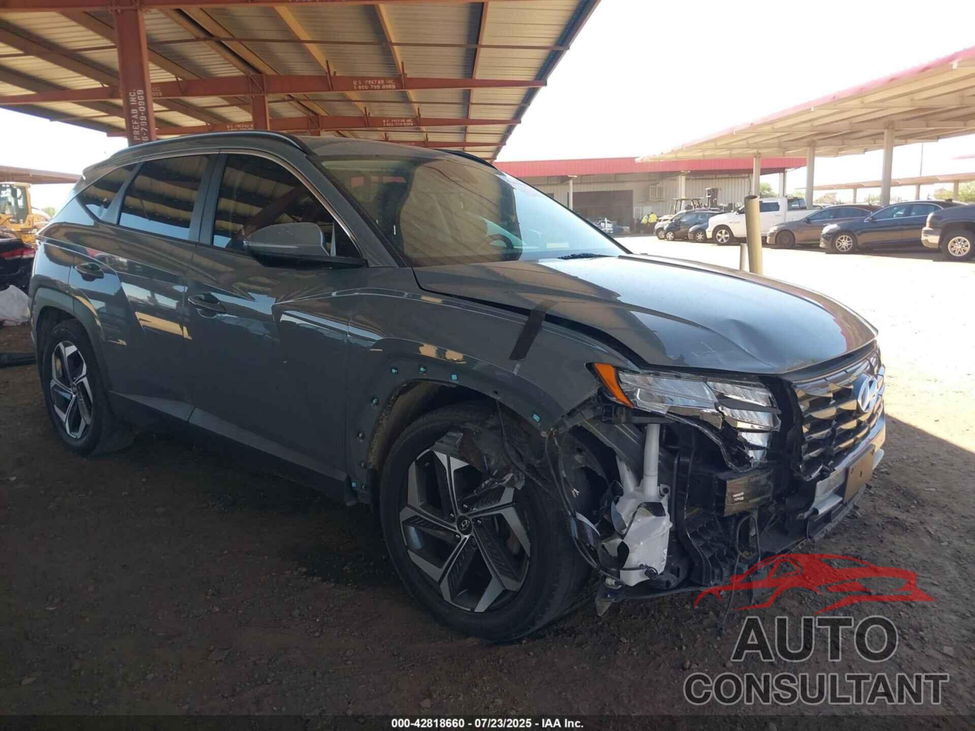 HYUNDAI TUCSON 2024 - 5NMJF3DE2RH309959