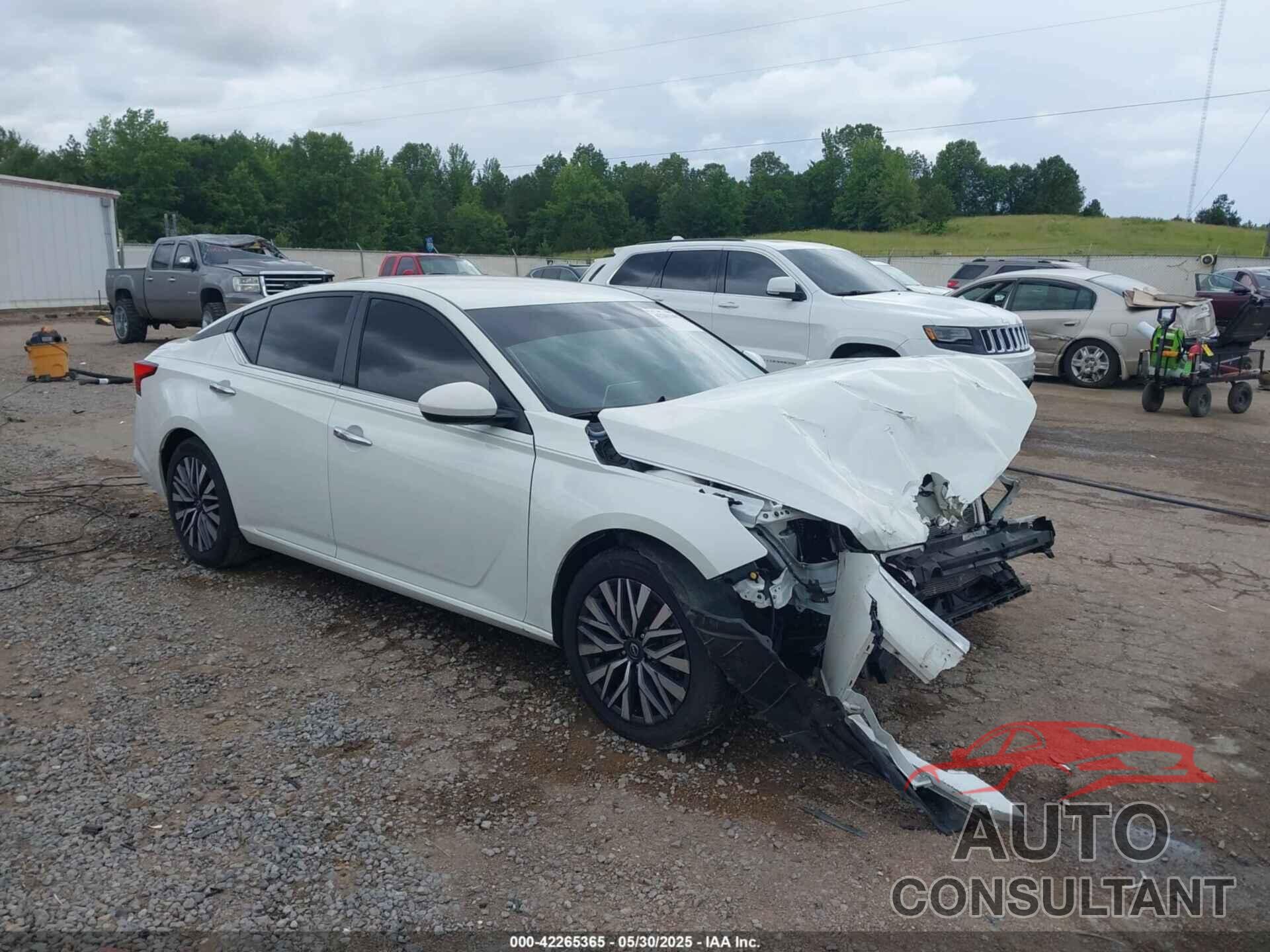 NISSAN ALTIMA 2023 - 1N4BL4DV8PN366255
