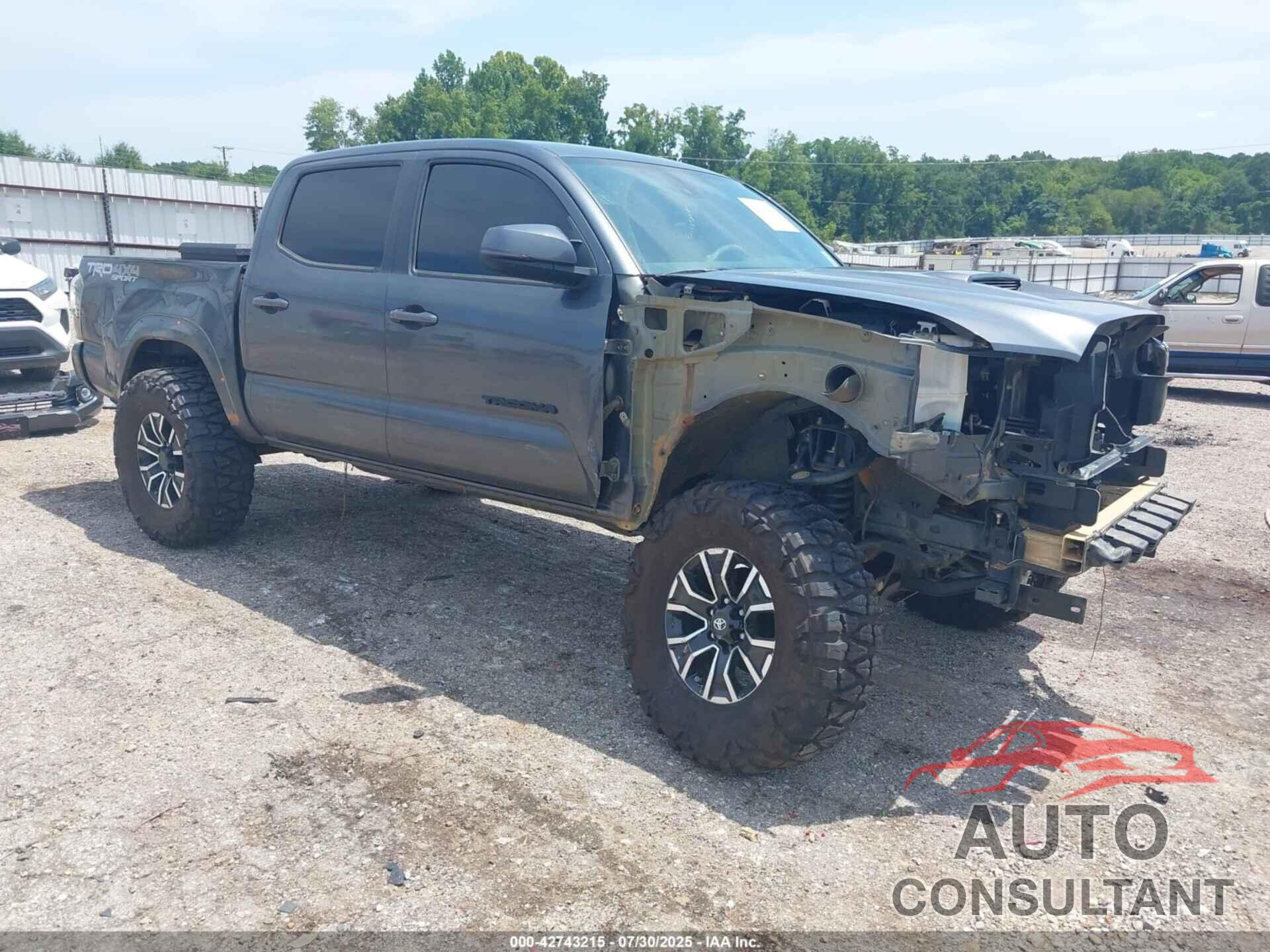 TOYOTA TACOMA 2023 - 3TMCZ5AN6PM601172