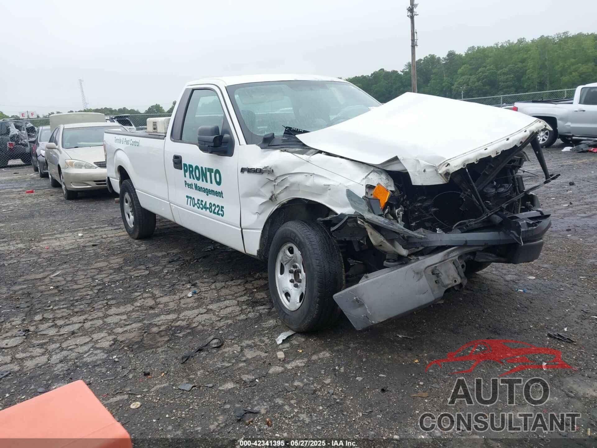 FORD F-150 2009 - 1FTRF12W29KB89507