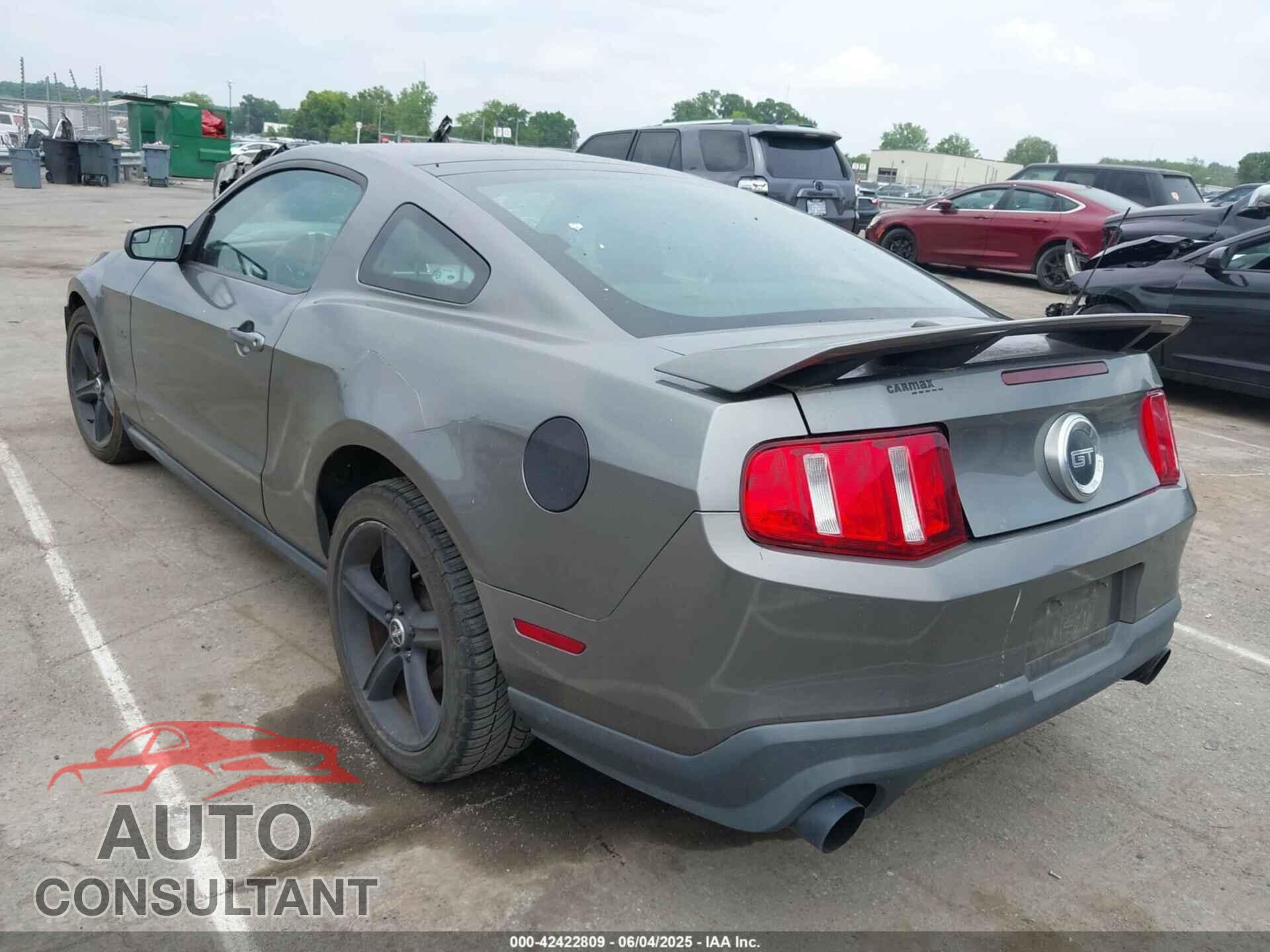 FORD MUSTANG 2011 - 1ZVBP8CF1B5167120