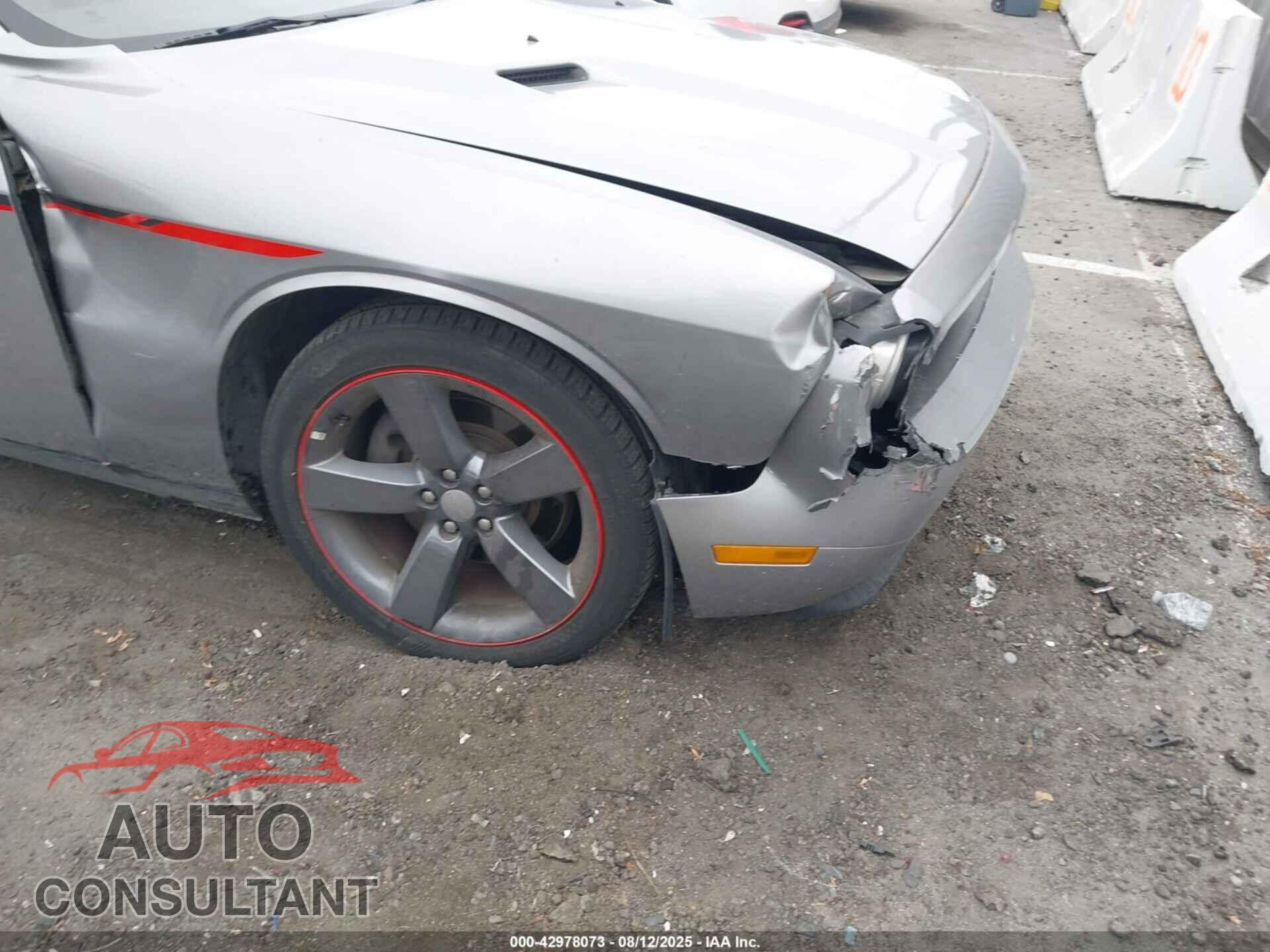DODGE CHALLENGER 2014 - 2C3CDYBT4EH229764