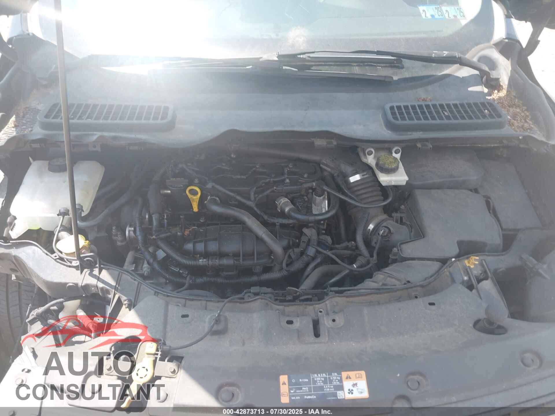 FORD ESCAPE 2014 - 1FMCU9GX4EUD97958