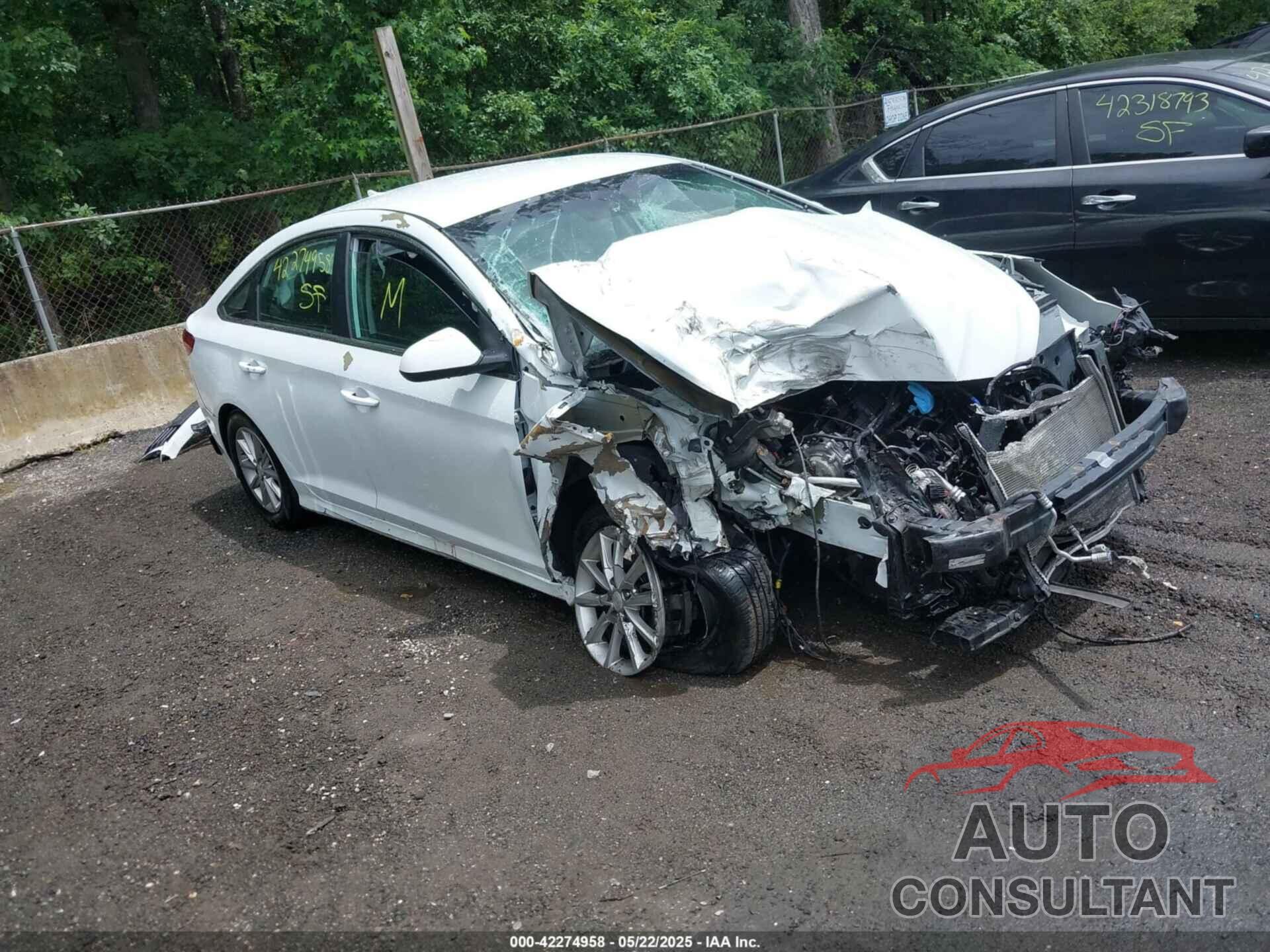 HYUNDAI SONATA 2018 - 5NPE24AF7JH644044
