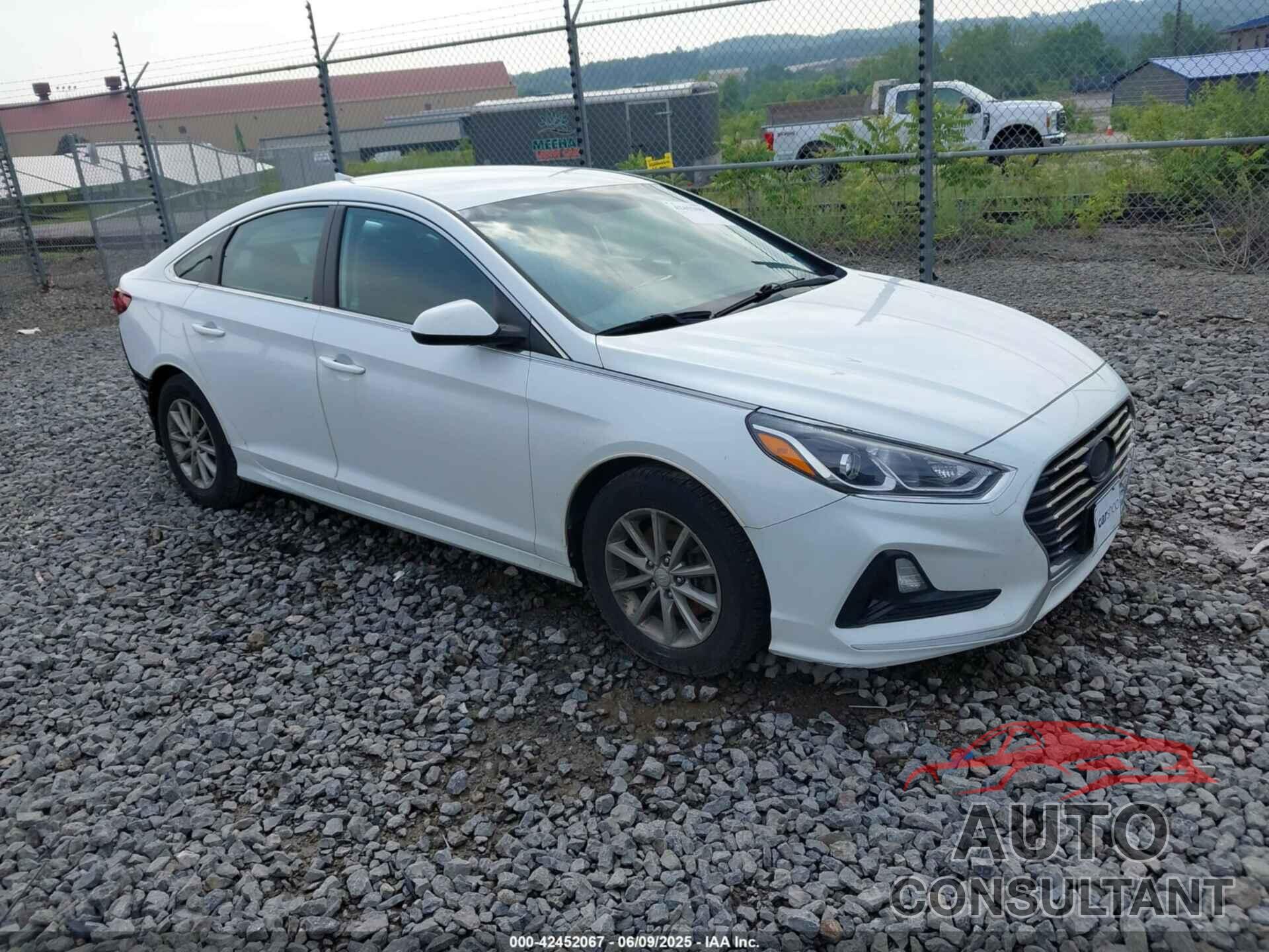 HYUNDAI SONATA 2018 - 5NPE24AF0JH607112