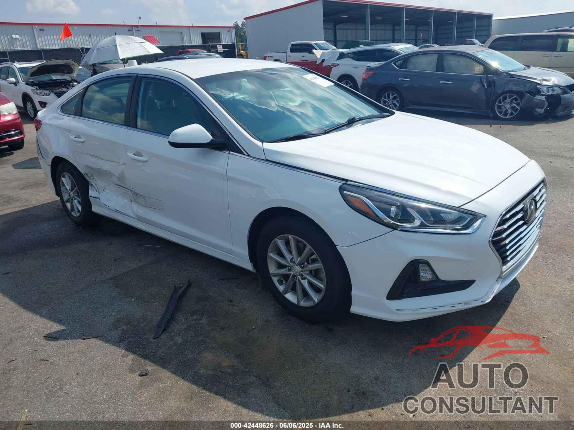 HYUNDAI SONATA 2019 - 5NPE24AF7KH740841