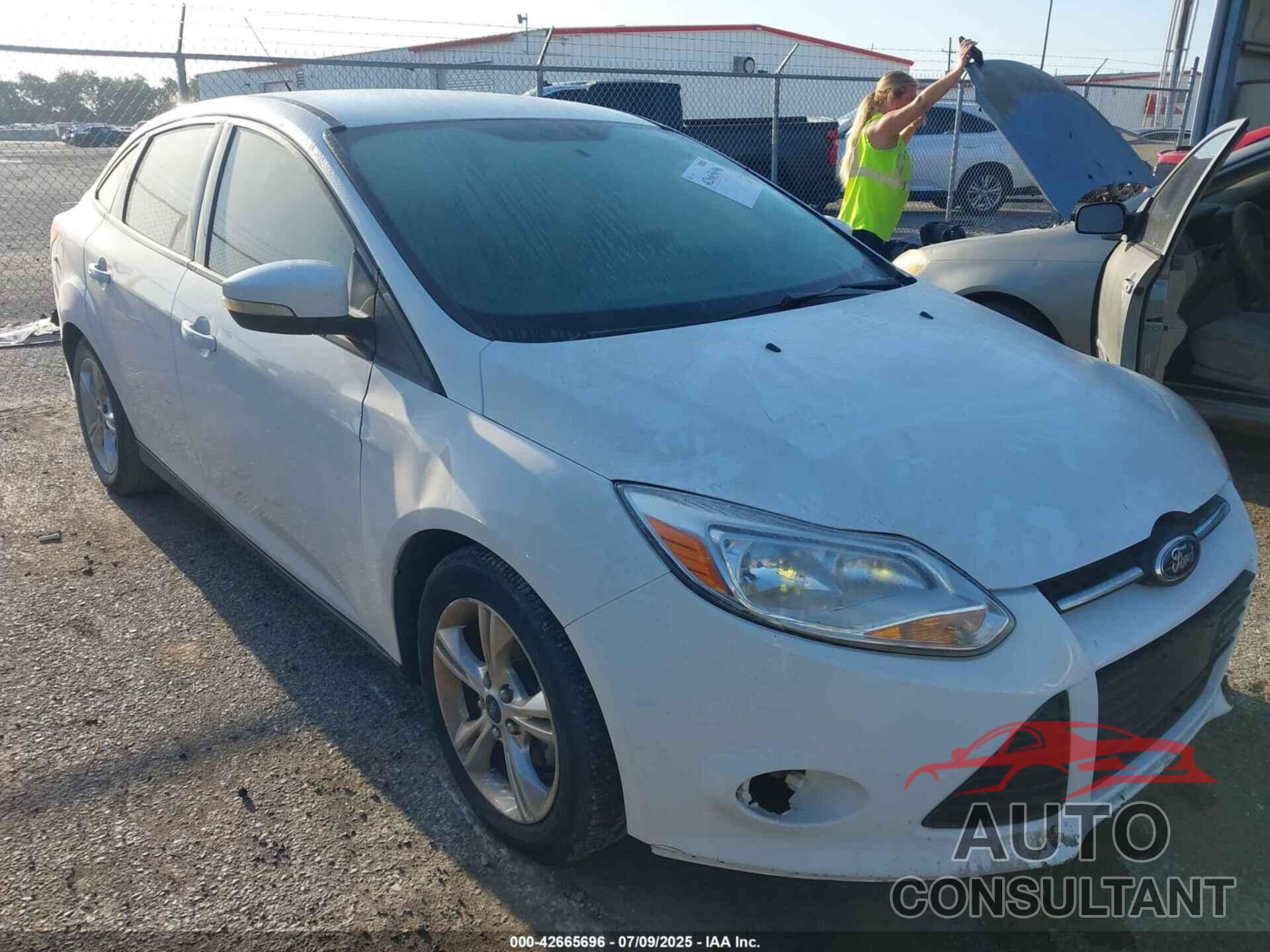 FORD FOCUS 2014 - 1FADP3F24EL249260
