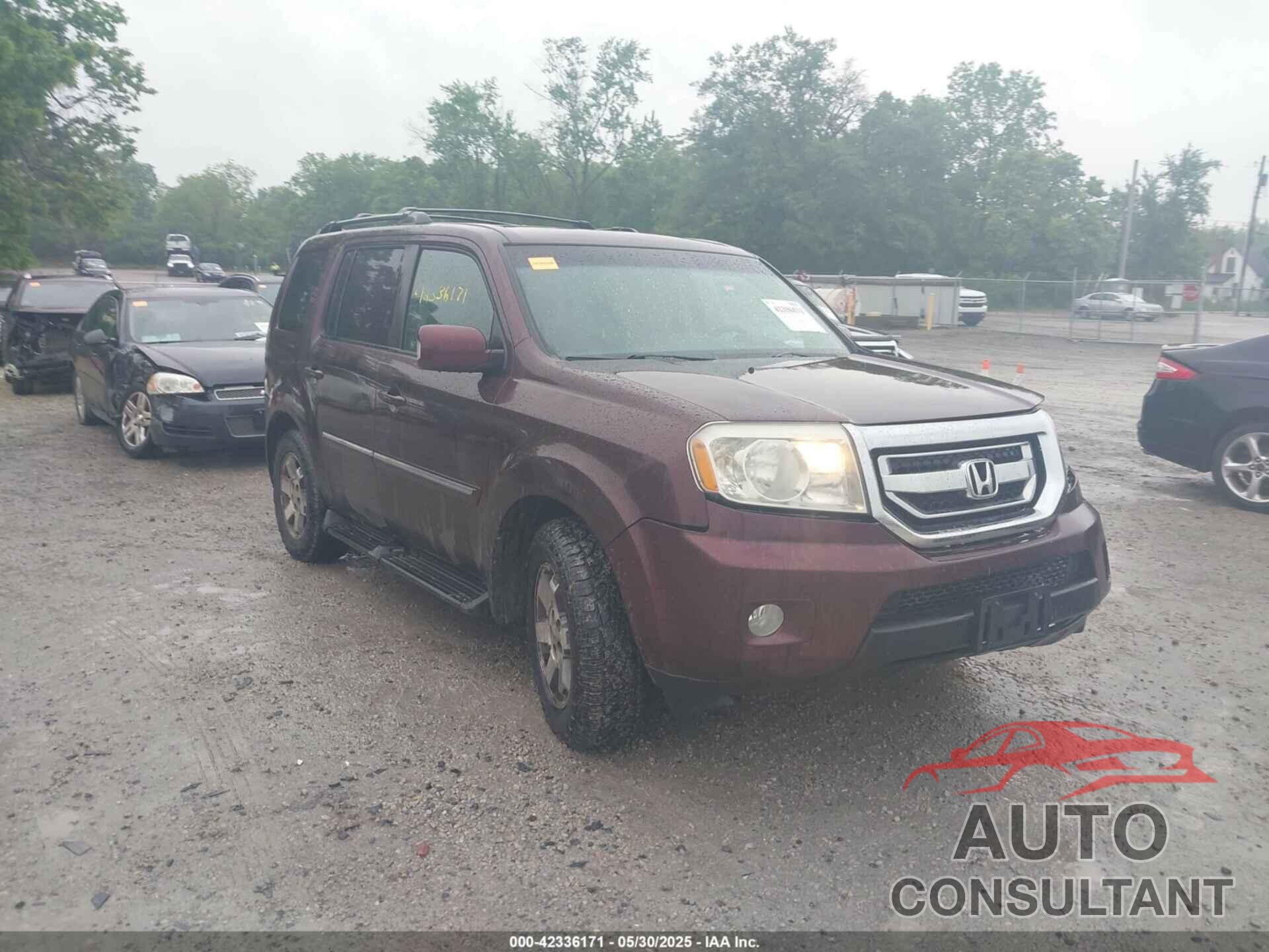 HONDA PILOT 2010 - 5FNYF4H9XAB001199