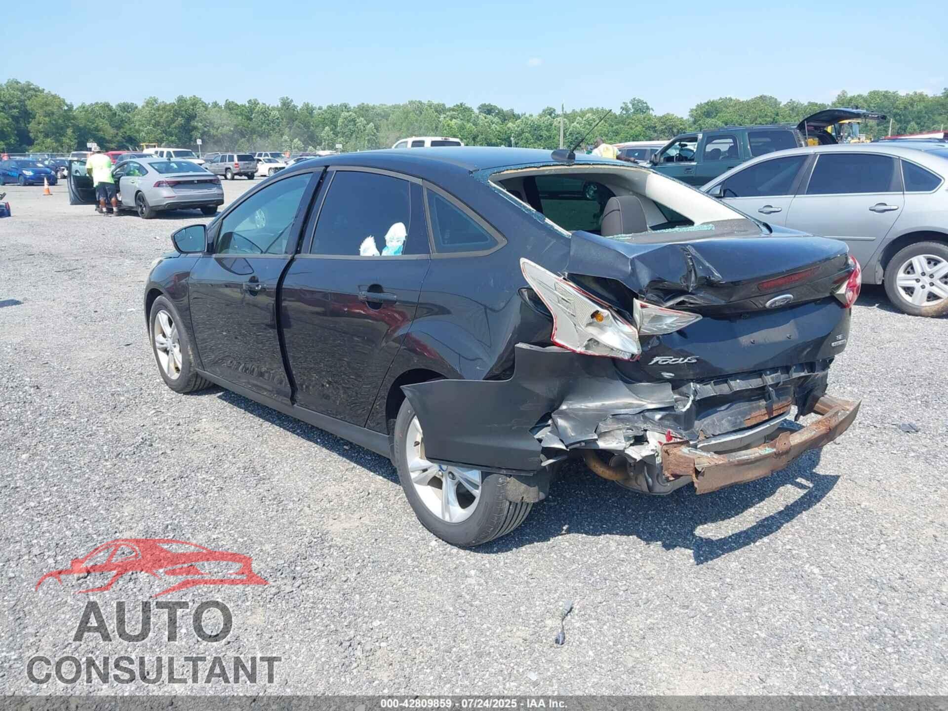 FORD FOCUS 2013 - 1FADP3F24DL216516