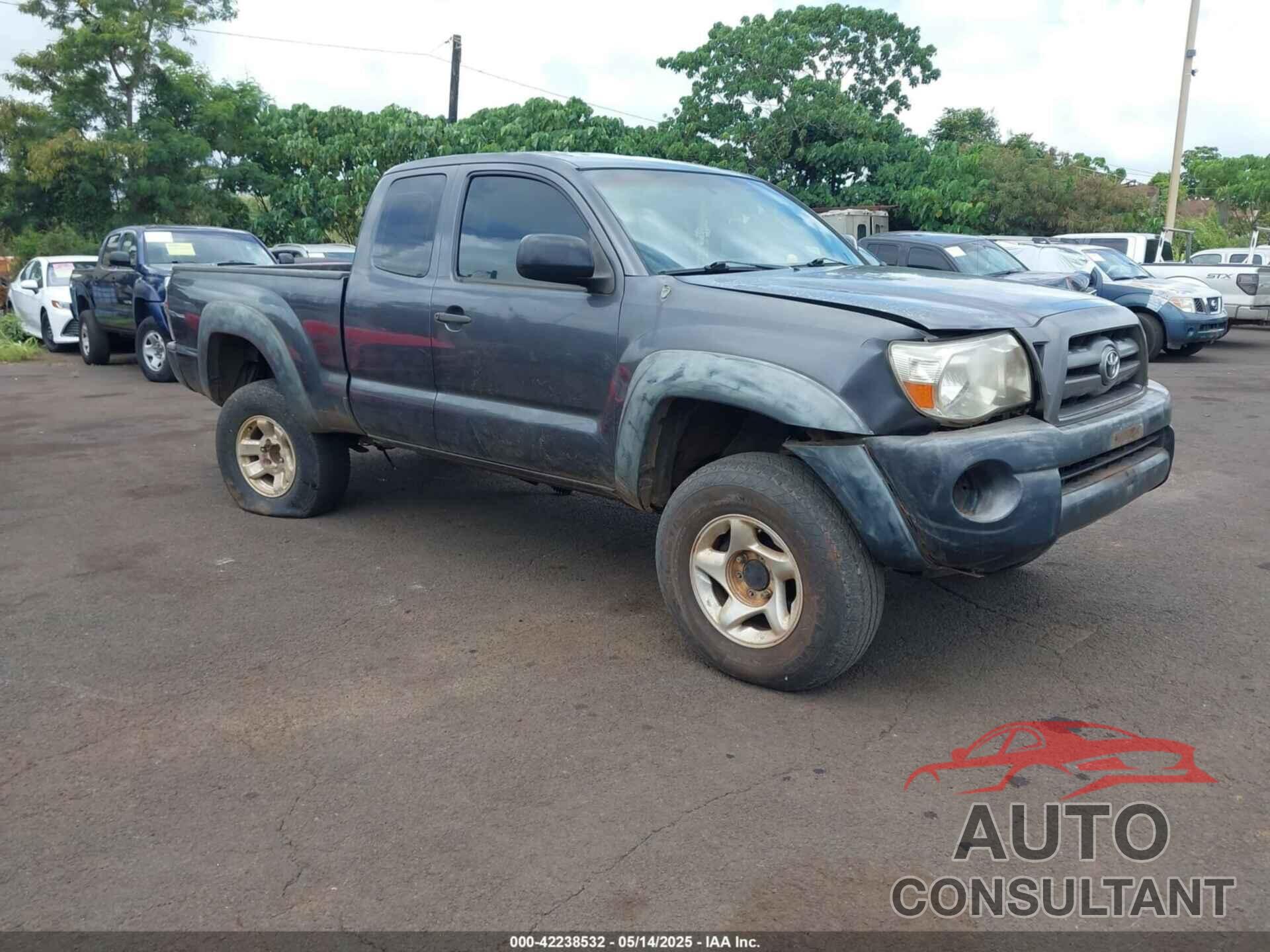 TOYOTA TACOMA 2009 - 5TEUU42N89Z609923
