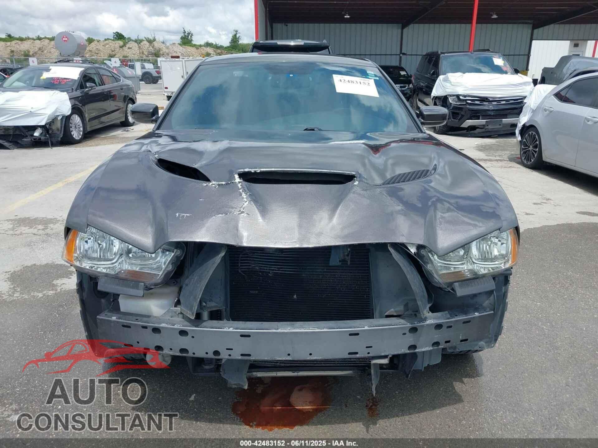 DODGE CHARGER 2014 - 2C3CDXBG1EH295735