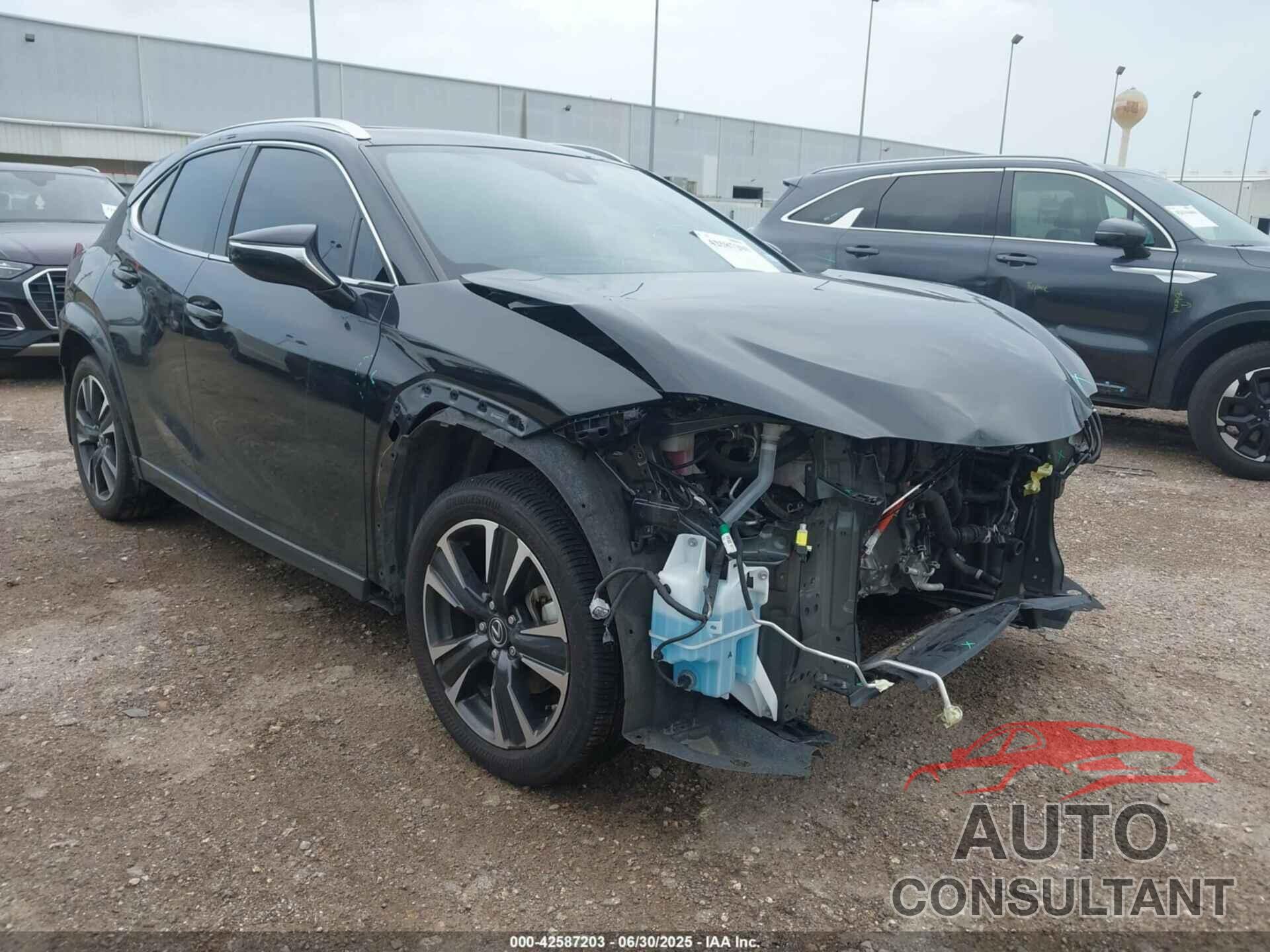 LEXUS UX 250H 2024 - JTHP6JBH3R2171072