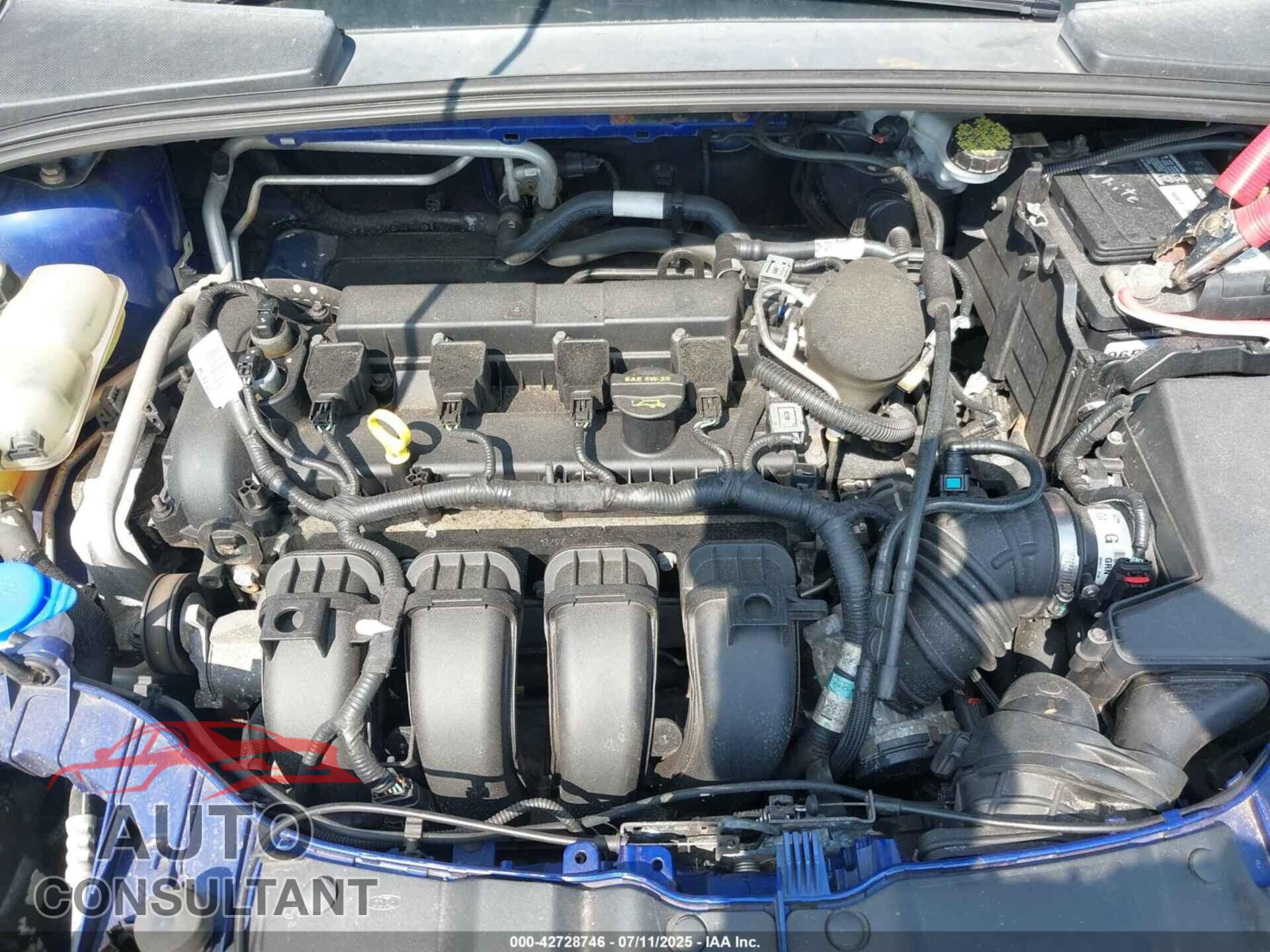 FORD FOCUS 2012 - 1FAHP3F25CL229050