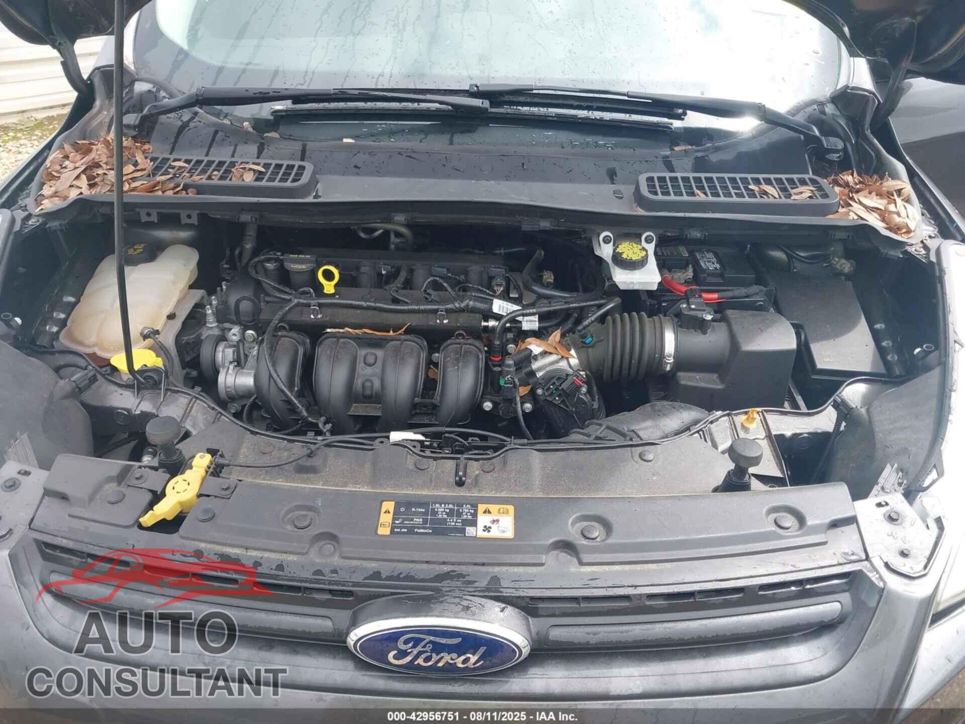 FORD ESCAPE 2015 - 1FMCU0F72FUC56207