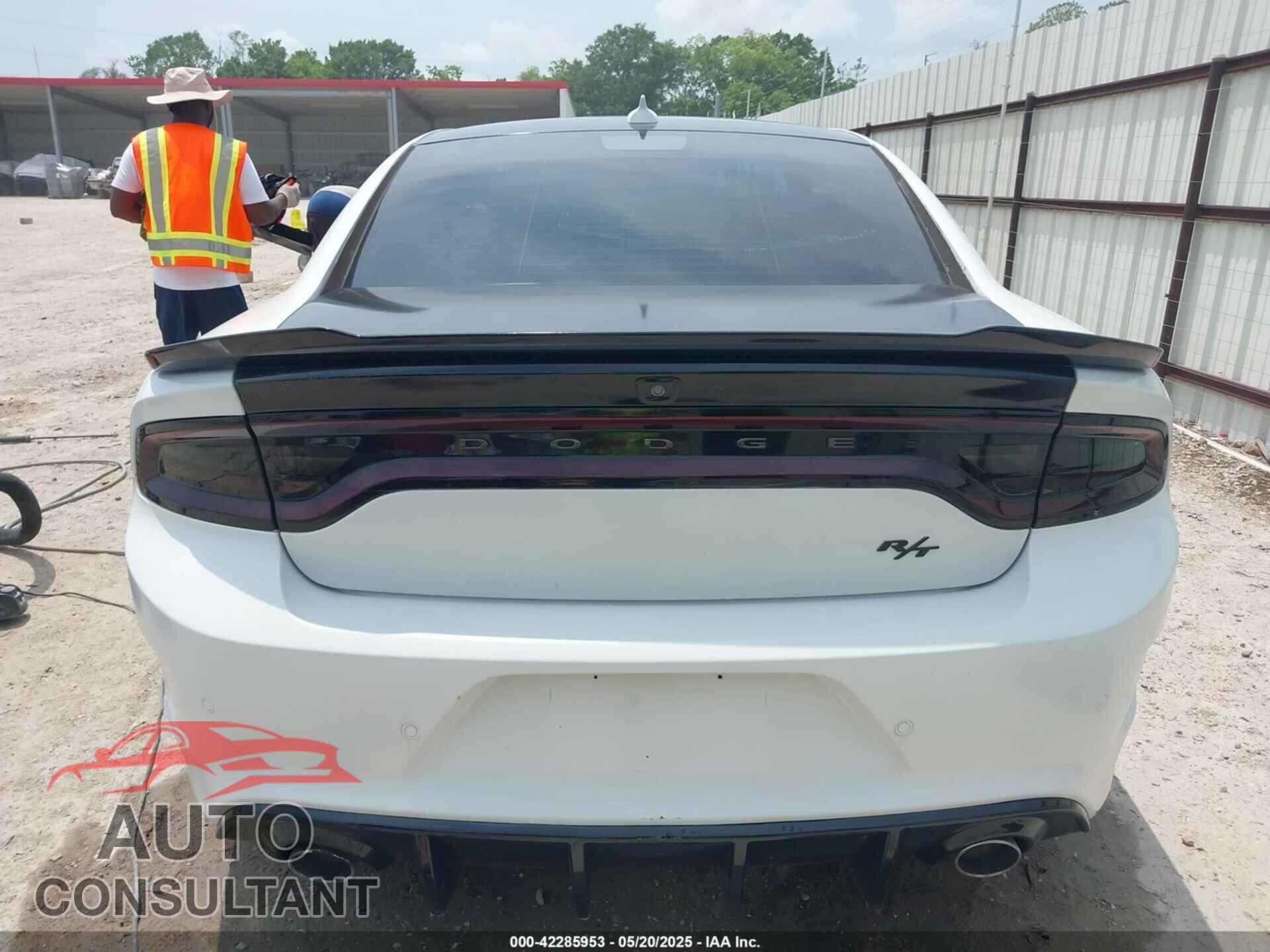 DODGE CHARGER 2019 - 2C3CDXCT3KH624491