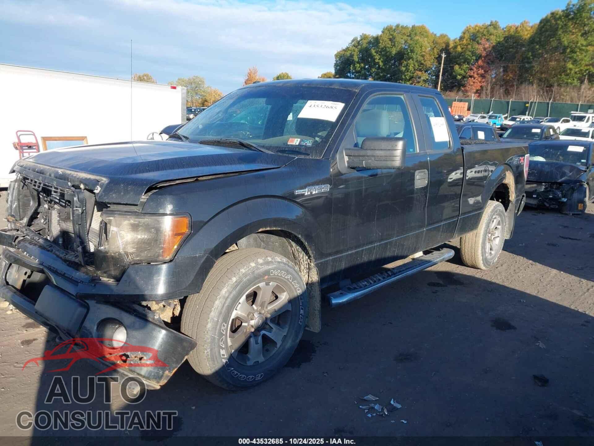 FORD F-150 2013 - 1FTFX1EF6DFA08583