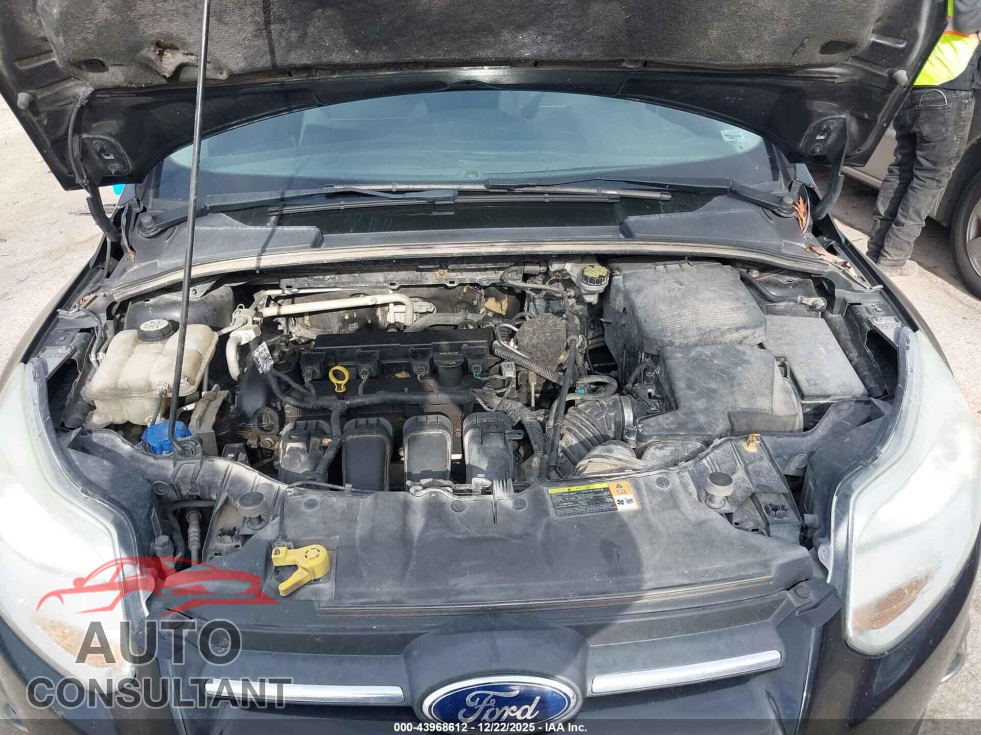 FORD FOCUS 2012 - 1FAHP3K28CL450406