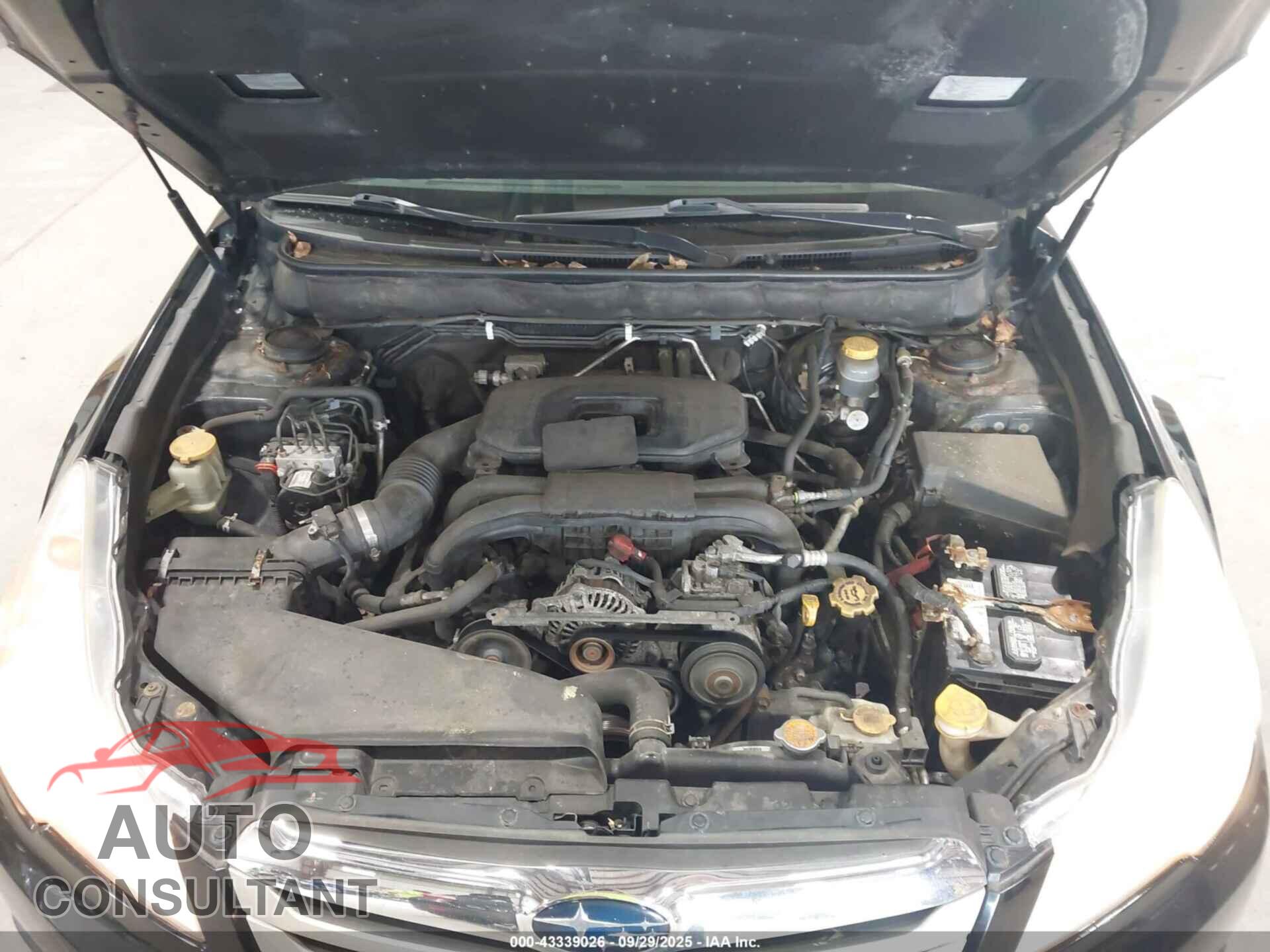 SUBARU OUTBACK 2010 - 4S4BRBLC7A3336837