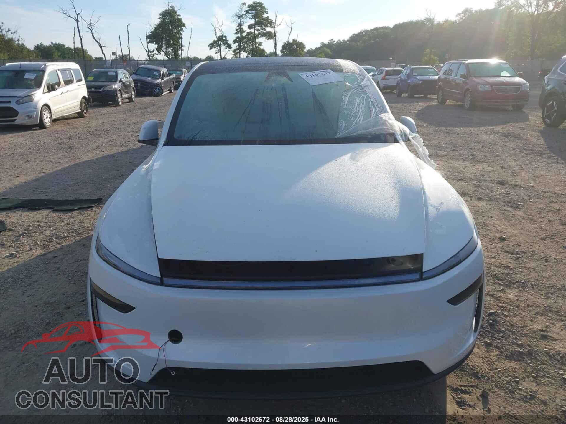 TESLA MODEL Y 2026 - 7SAYGDEEXTF357639
