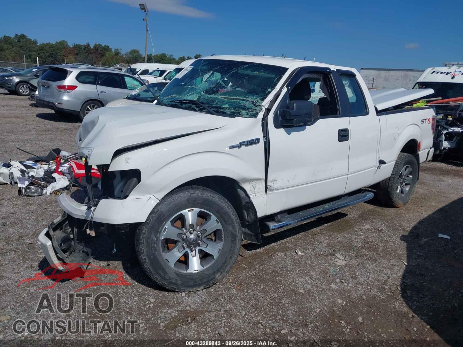 FORD F-150 2013 - 1FTFX1EF3DFD61461