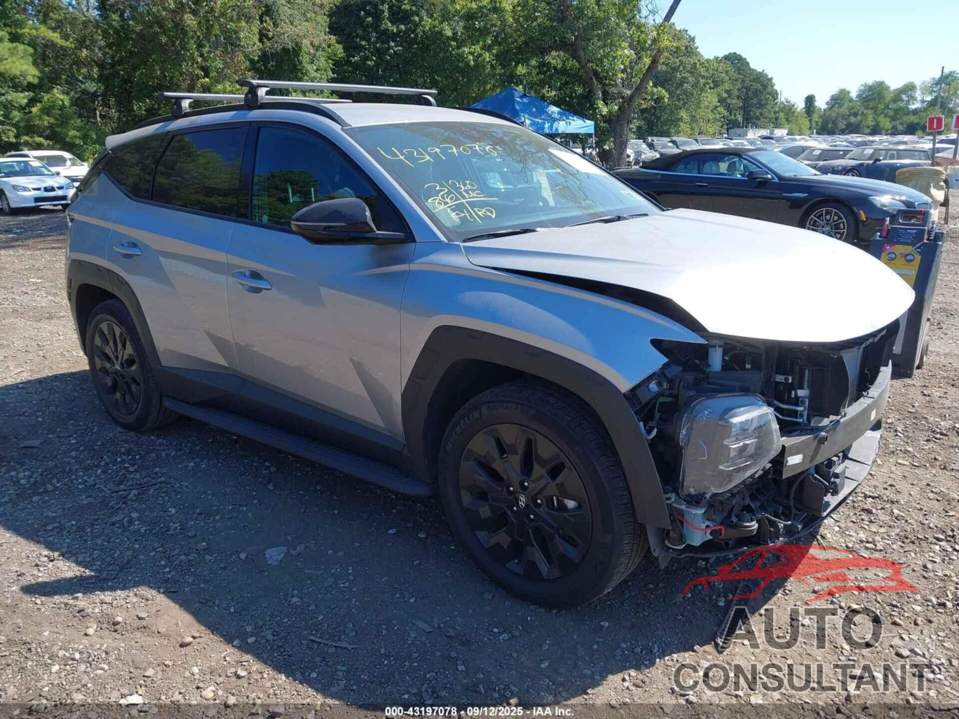 HYUNDAI TUCSON 2024 - KM8JFCDE4RU293476
