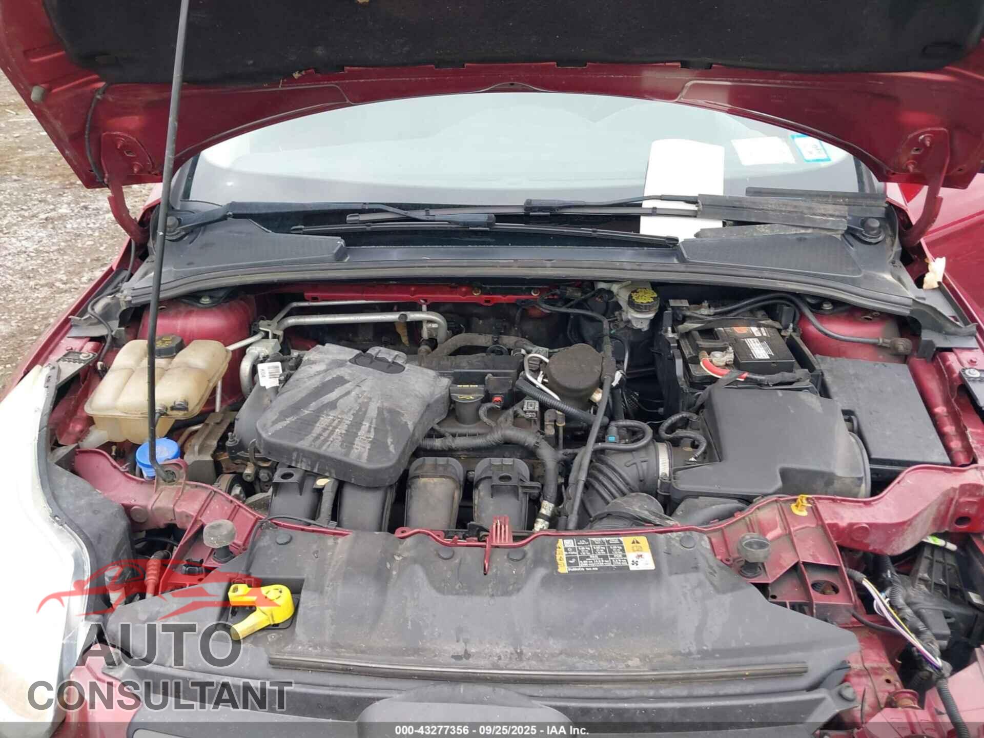 FORD FOCUS 2014 - 1FADP3F26EL314495