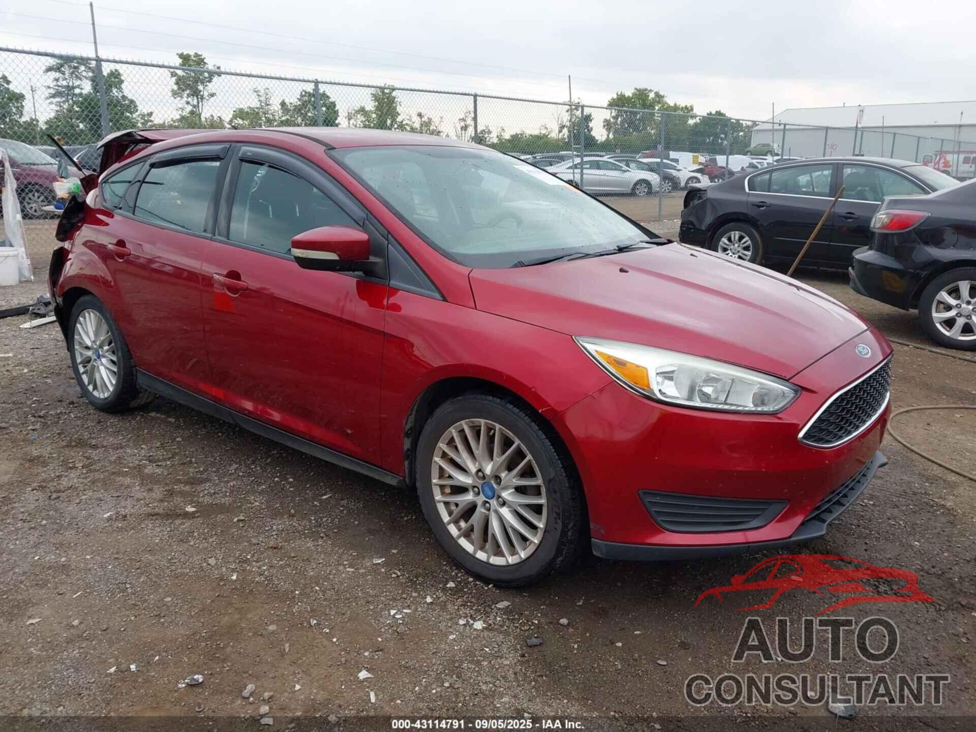 FORD FOCUS 2016 - 1FADP3K23GL403658