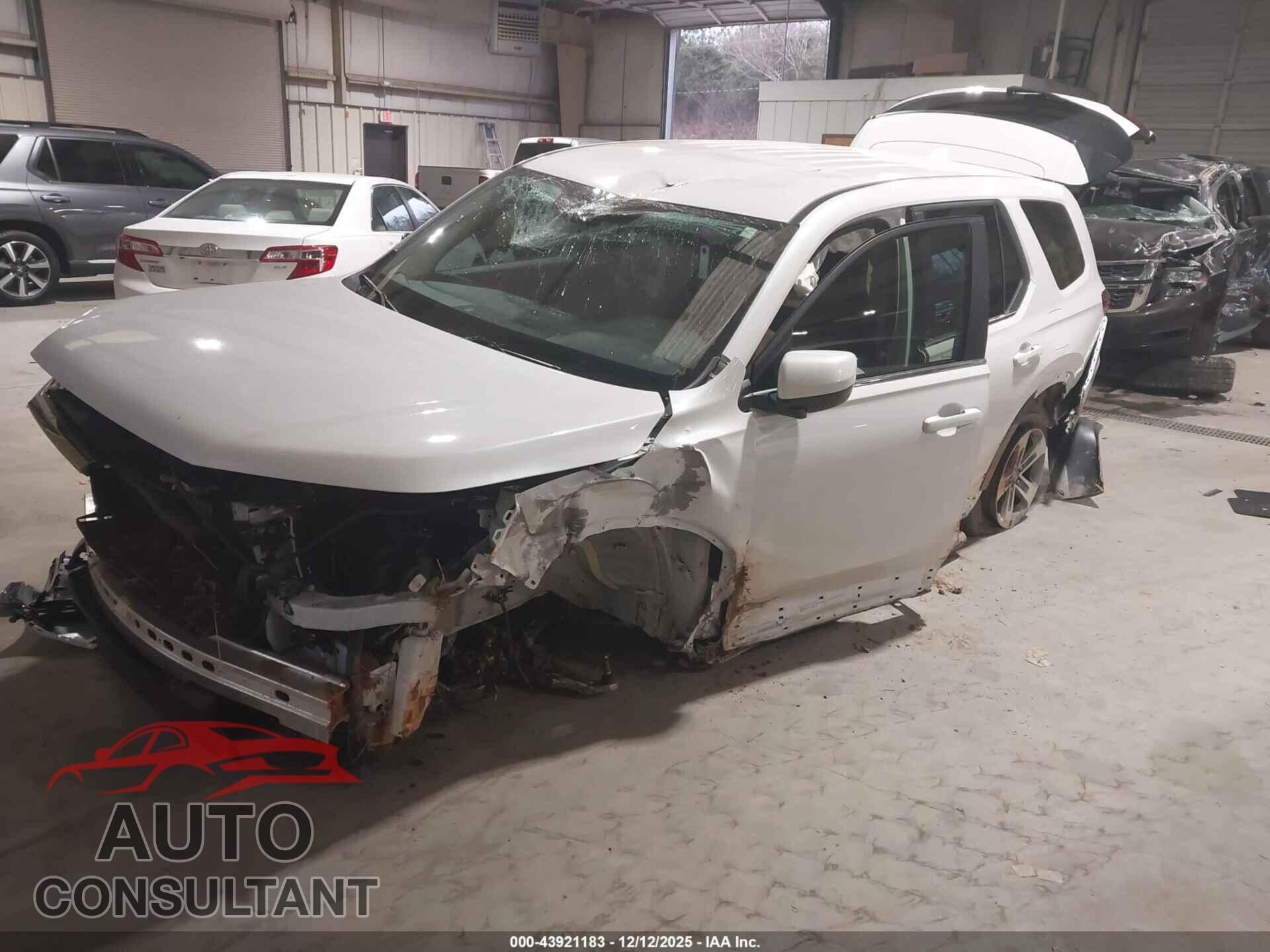 HONDA PILOT 2024 - 5FNYG1H55RB009893