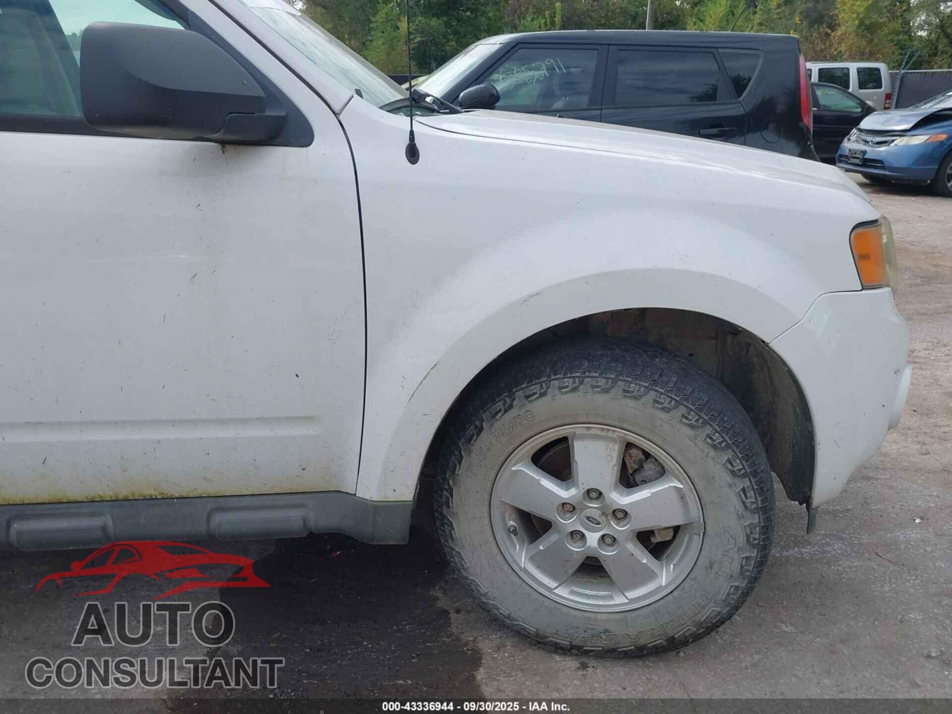 FORD ESCAPE 2010 - 1FMCU0DG0AKC85406