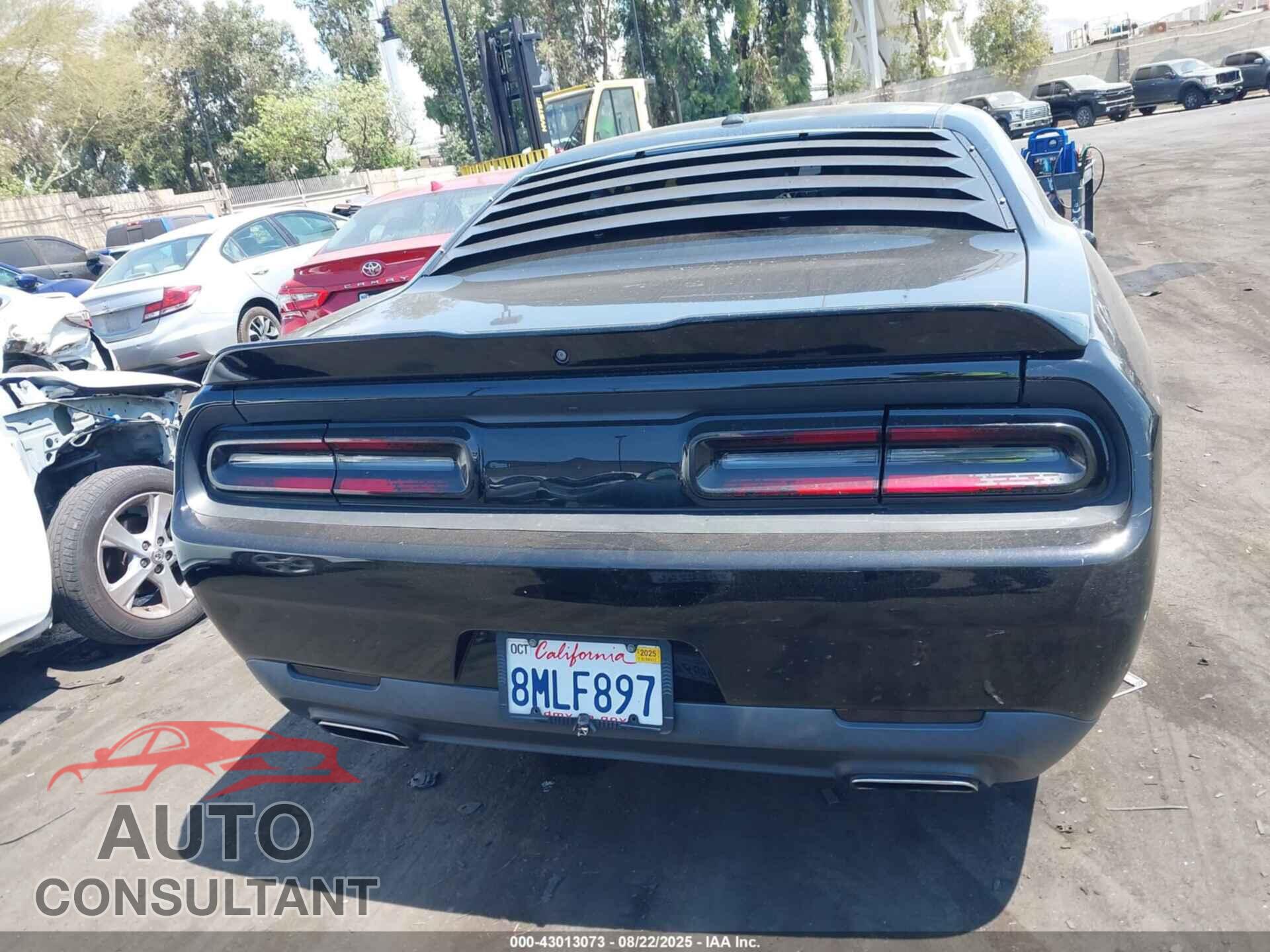 DODGE CHALLENGER 2019 - 2C3CDZAG9KH714844