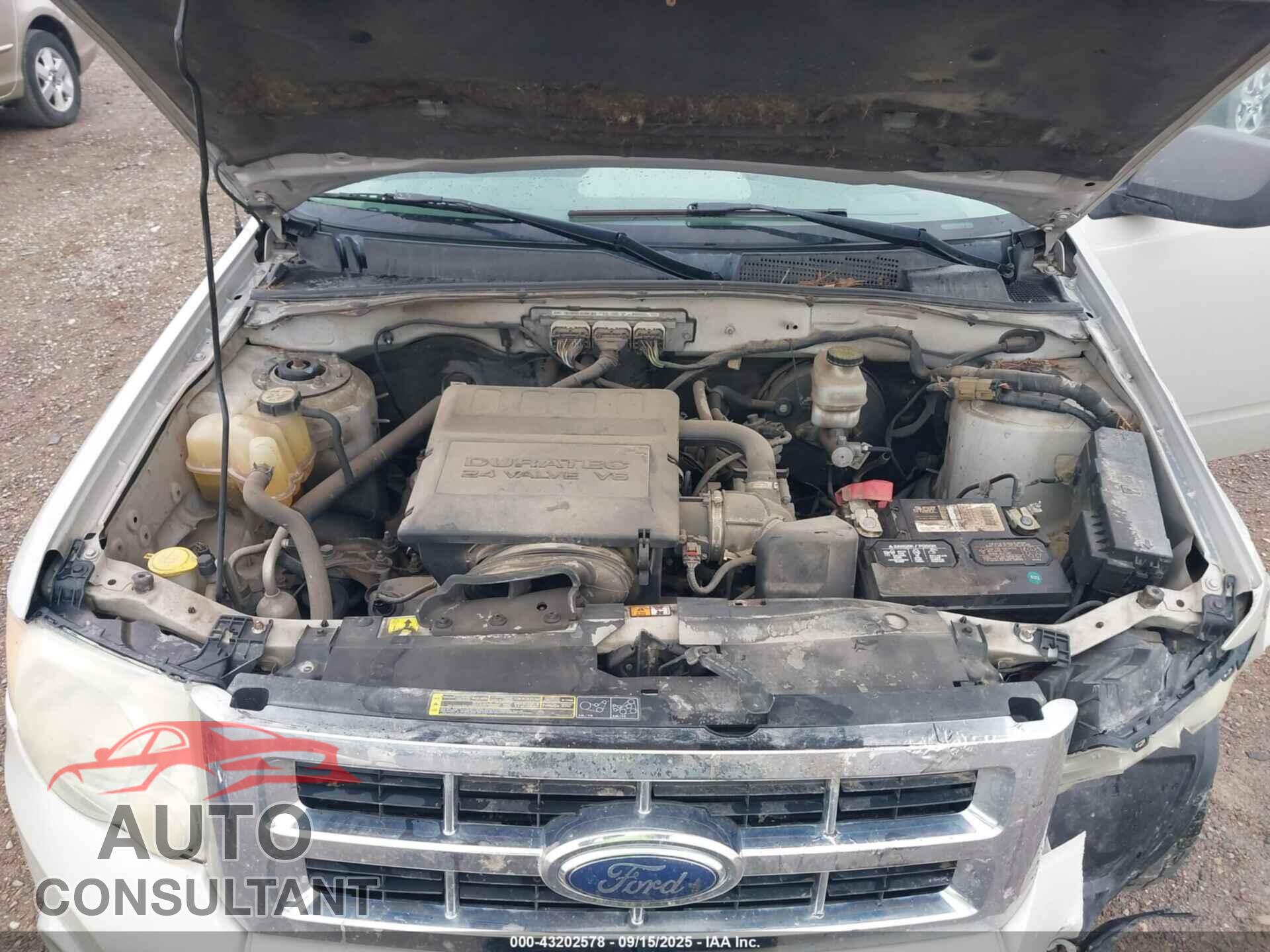 FORD ESCAPE 2009 - 1FMCU93G09KB70211