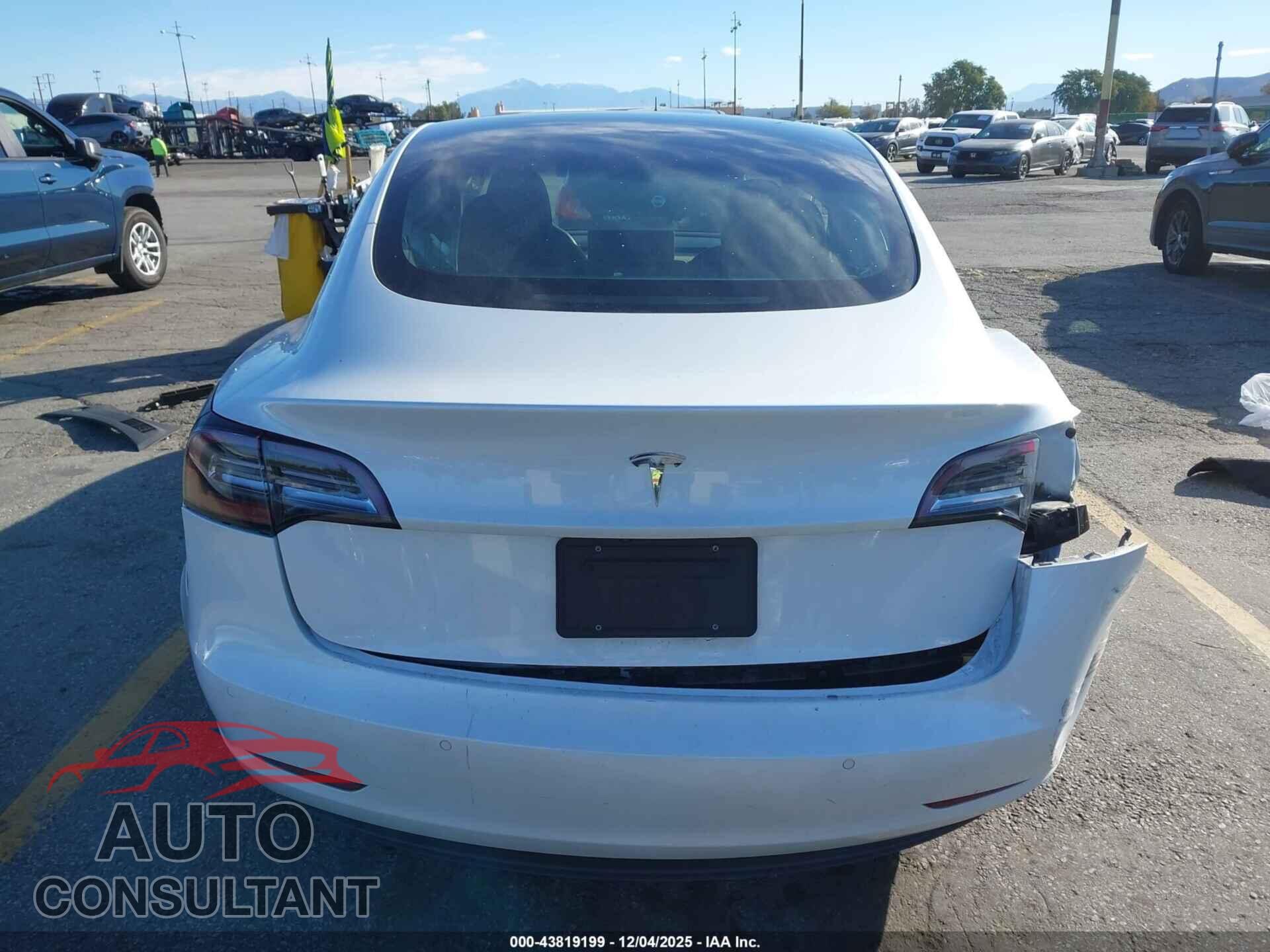 TESLA MODEL 3 2020 - 5YJ3E1EA0LF805833