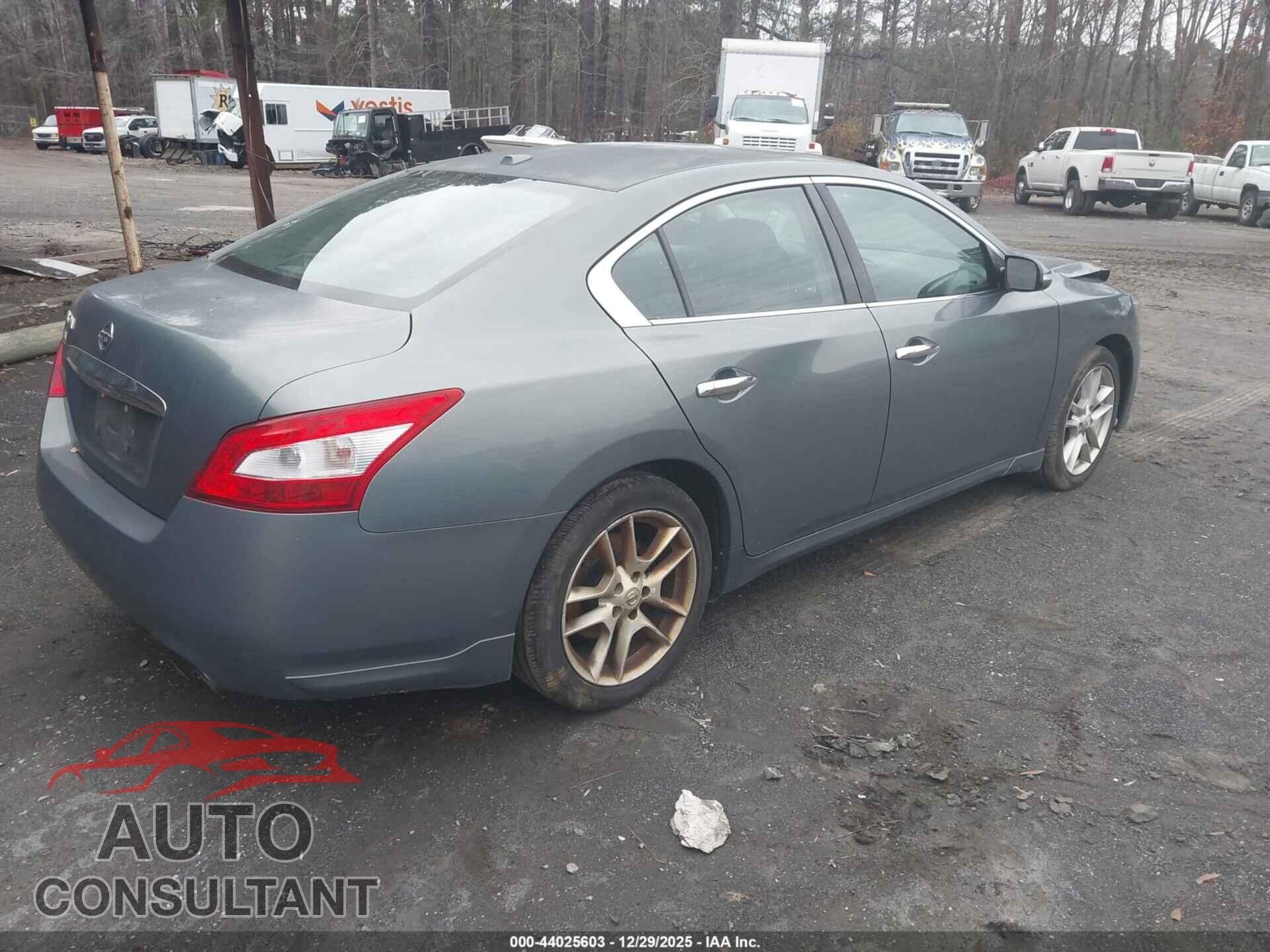 NISSAN MAXIMA 2011 - 1N4AA5AP7BC853870