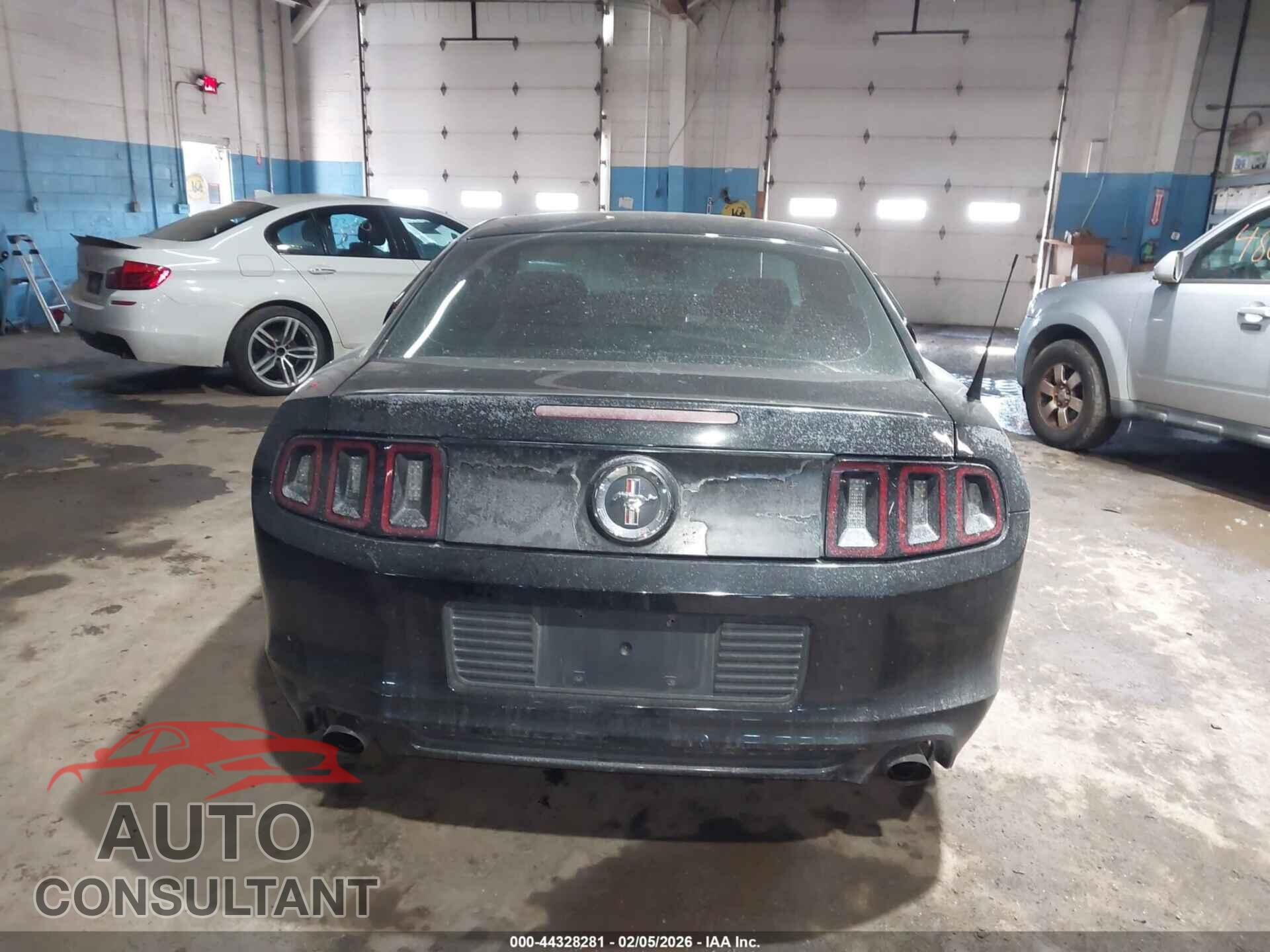 FORD MUSTANG 2014 - 1ZVBP8AM8E5211541