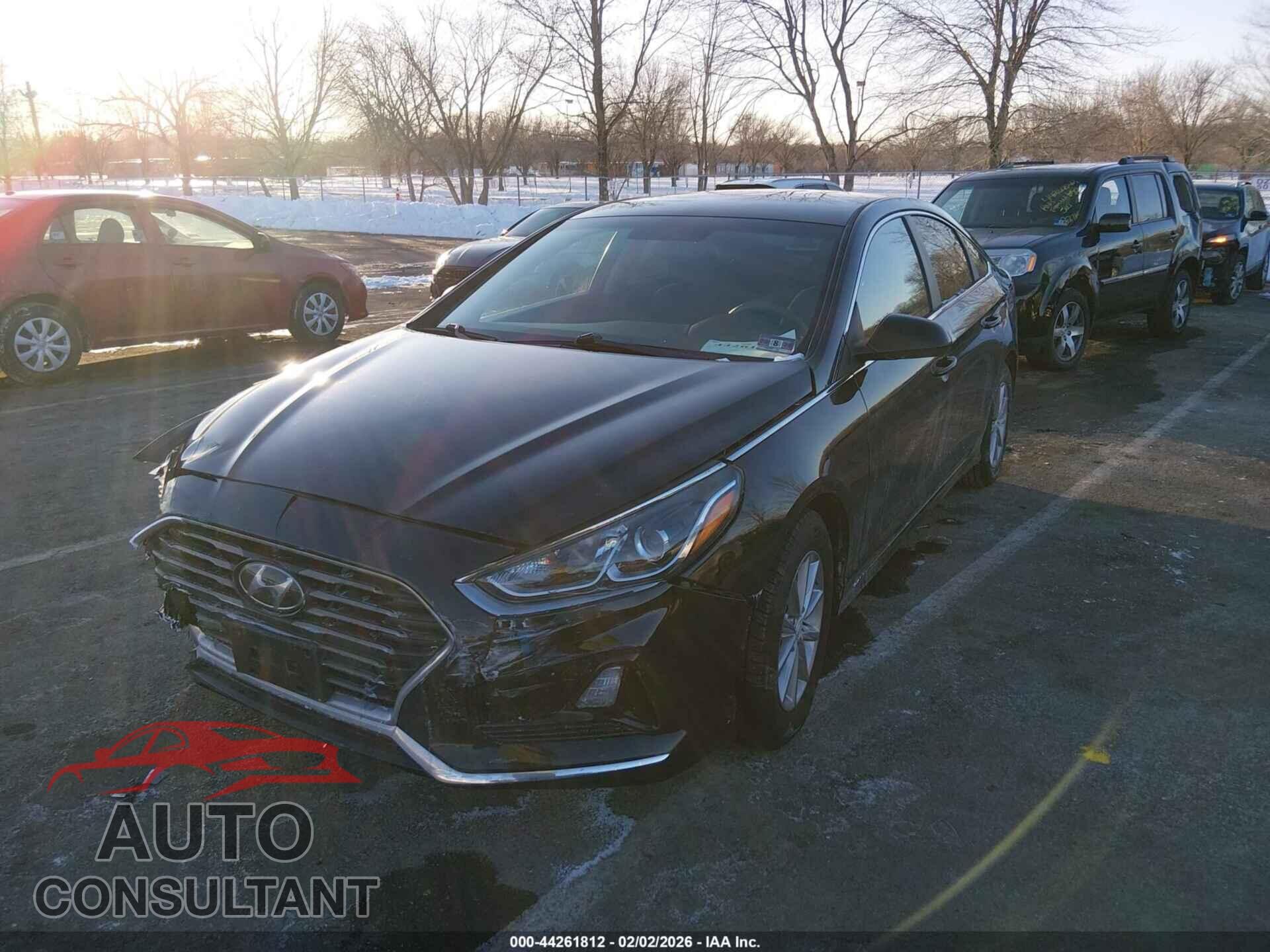 HYUNDAI SONATA 2019 - 5NPE24AF3KH797358