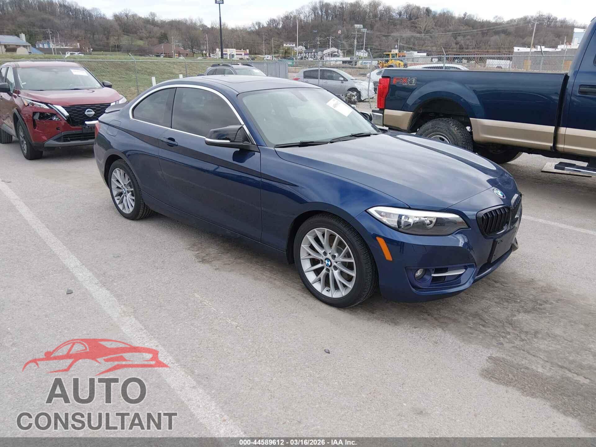 BMW 228I 2016 - WBA1G9C54GV599345