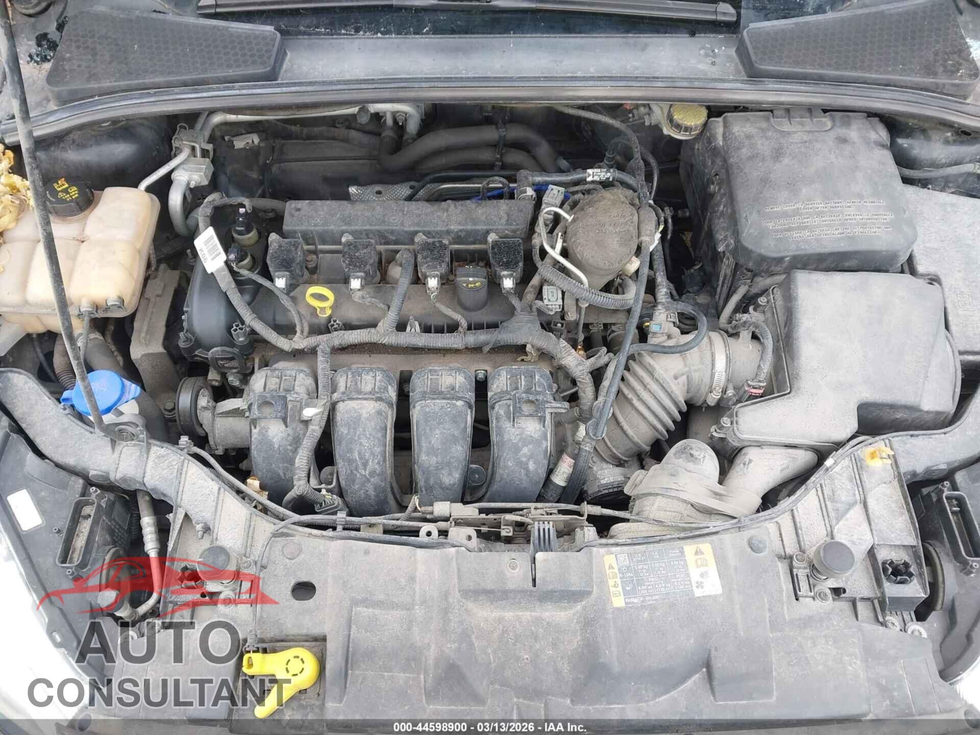 FORD FOCUS 2015 - 1FADP3J20FL382848