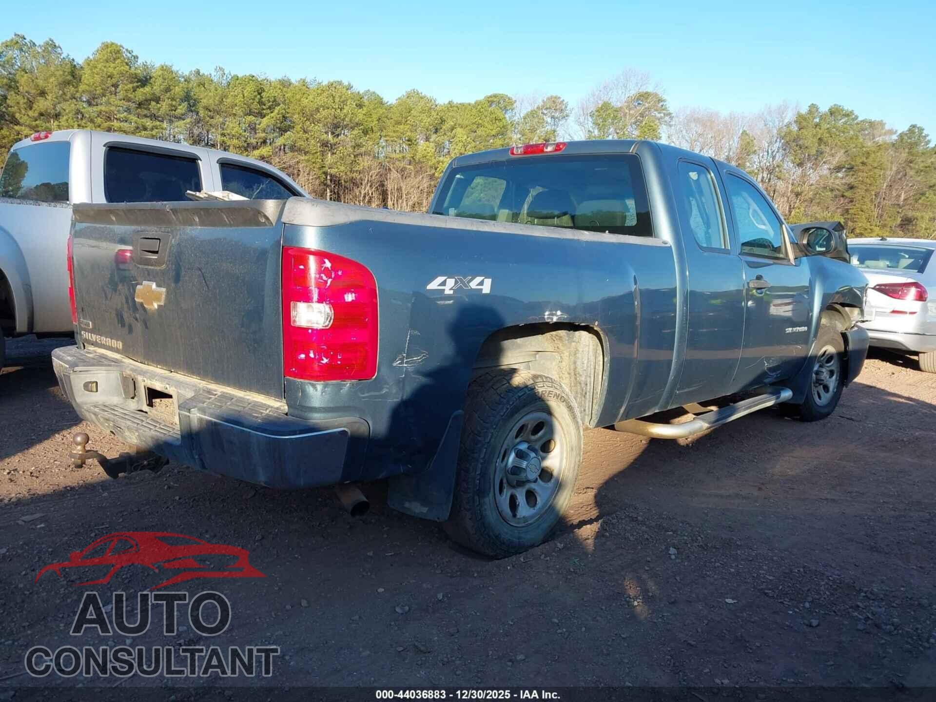 CHEVROLET SILVERADO 1500 2010 - 1GCSKPE31AZ105321