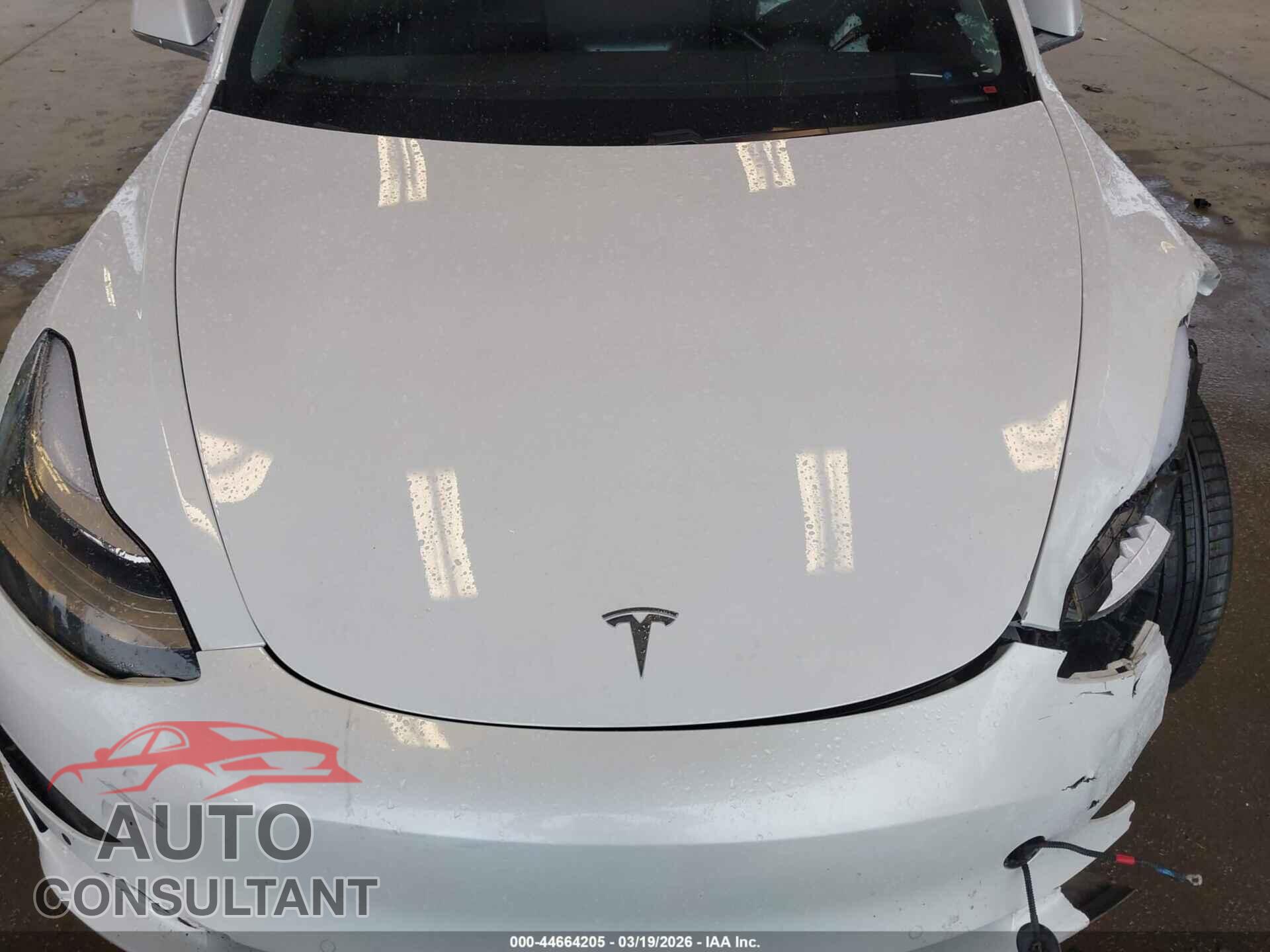 TESLA MODEL 3 2020 - 5YJ3E1EA3LF504795