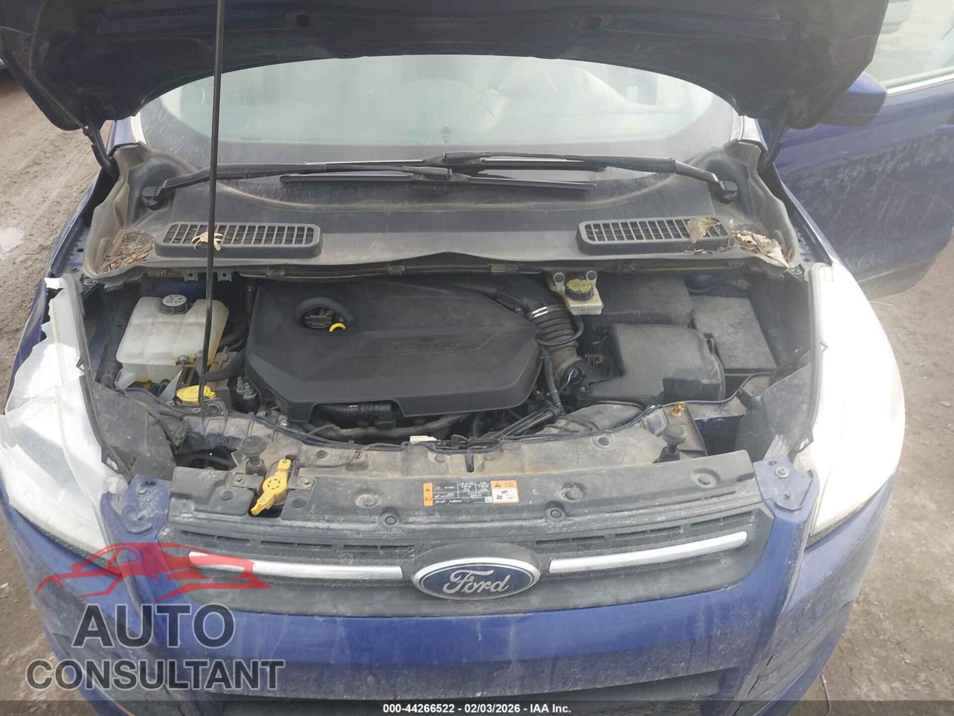 FORD ESCAPE 2014 - 1FMCU0GX9EUD08445