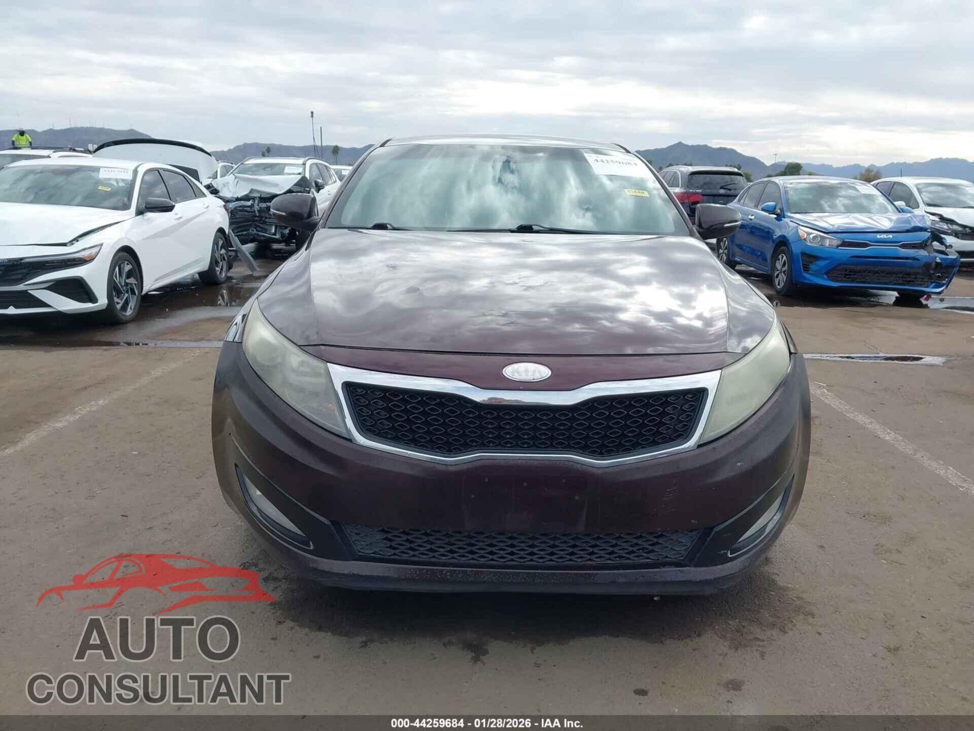 KIA OPTIMA 2013 - 5XXGM4A70DG216232